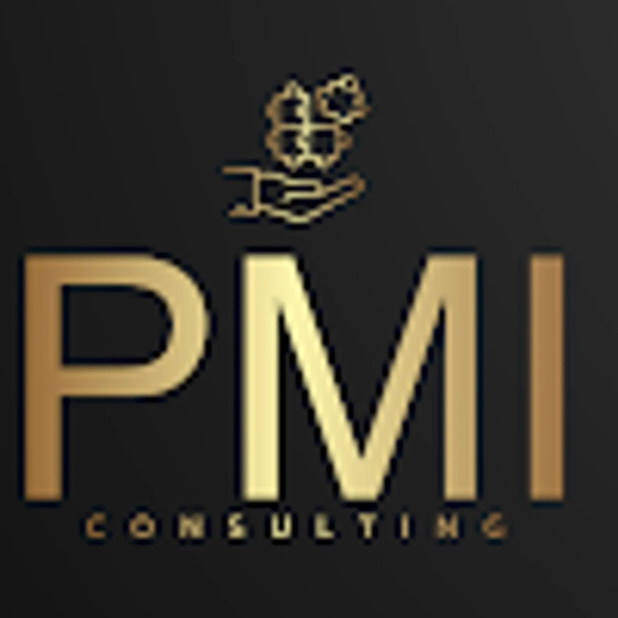 PM International Private Limited