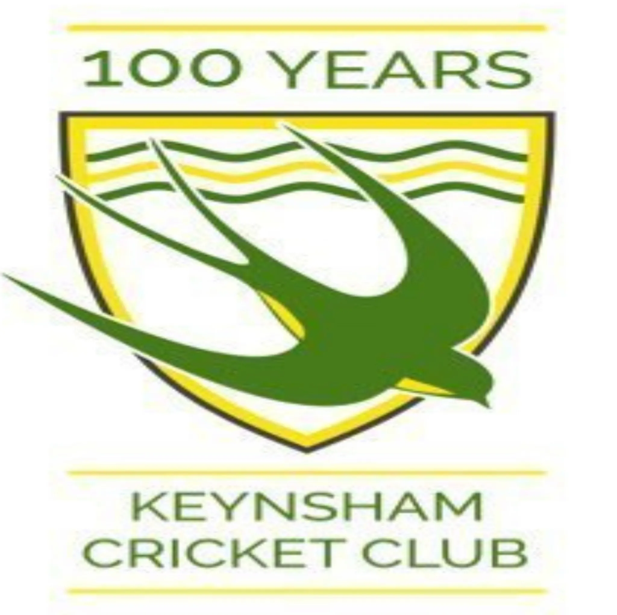Keynsham Cricket Club