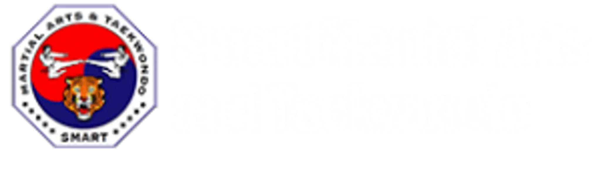 Smart Martial Arts - Ballajura