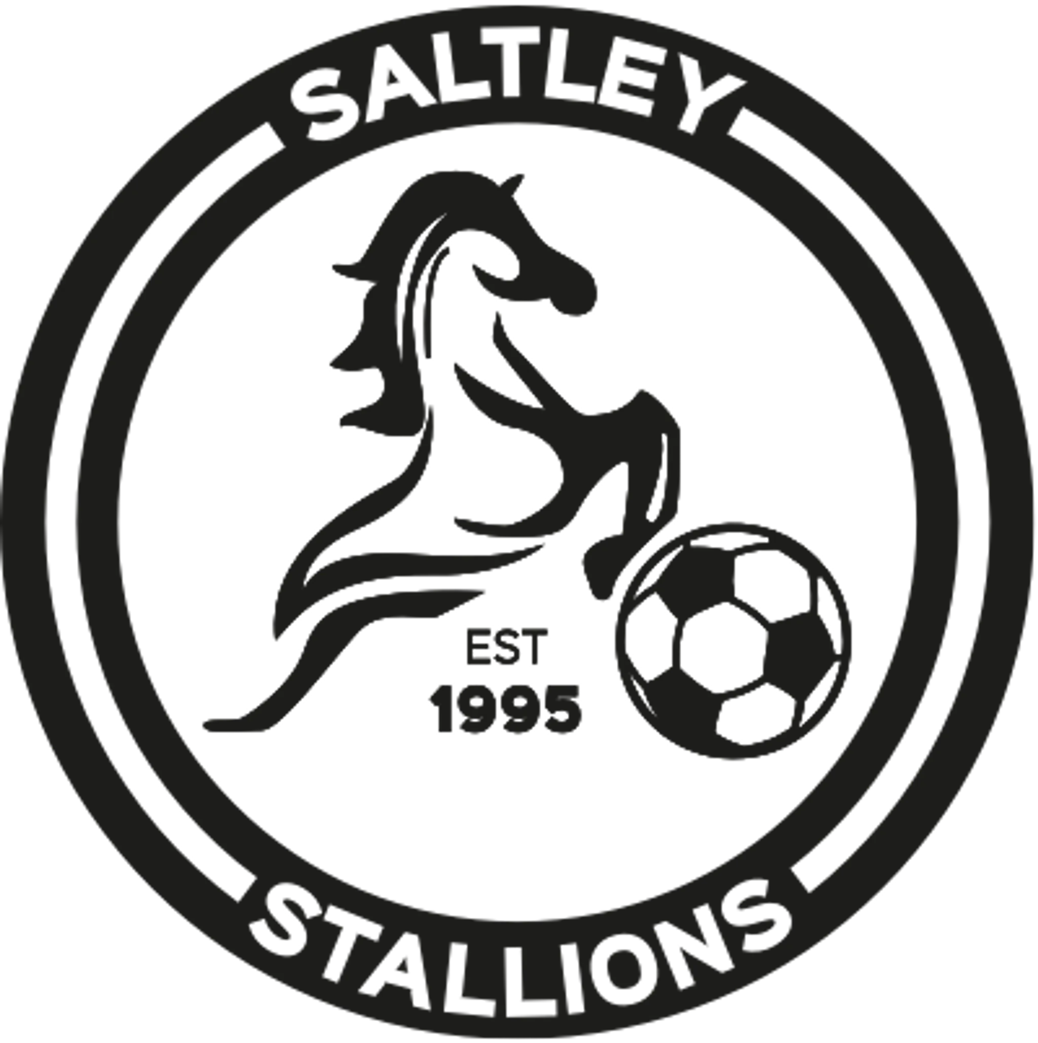 Saltley Stallions Football Club