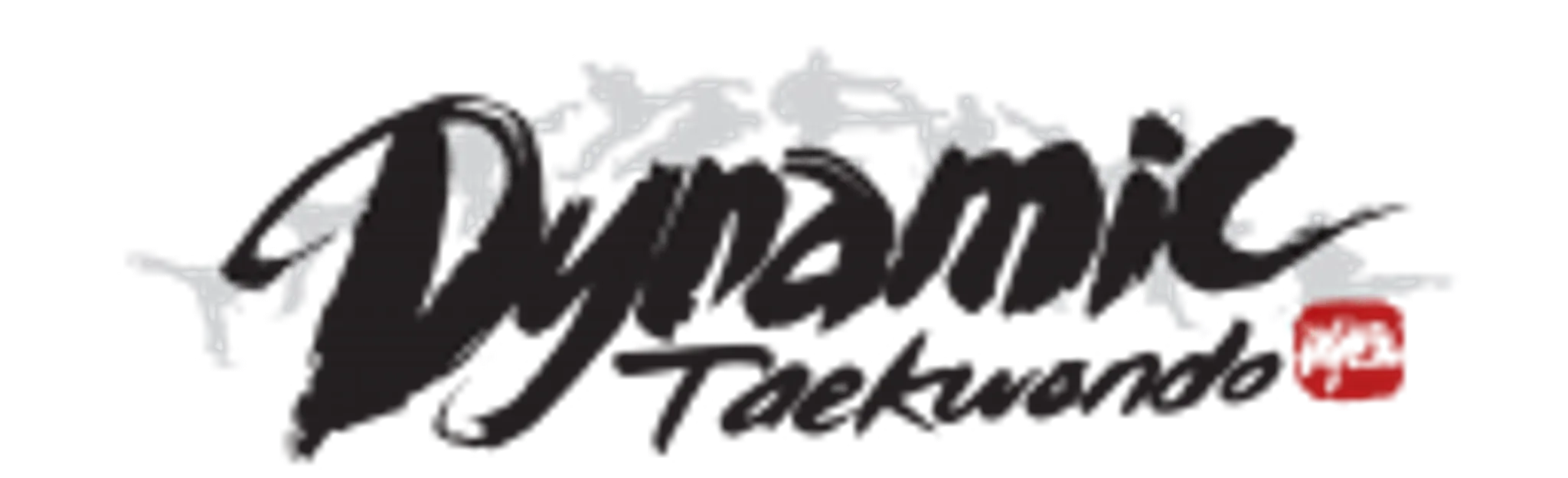 Master Seo's Dynamic Taekwondo - Dundas