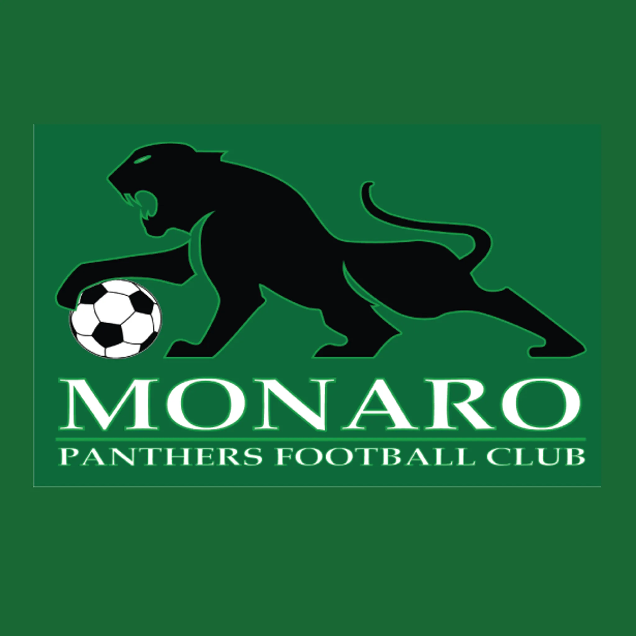 Monaro Panthers FC