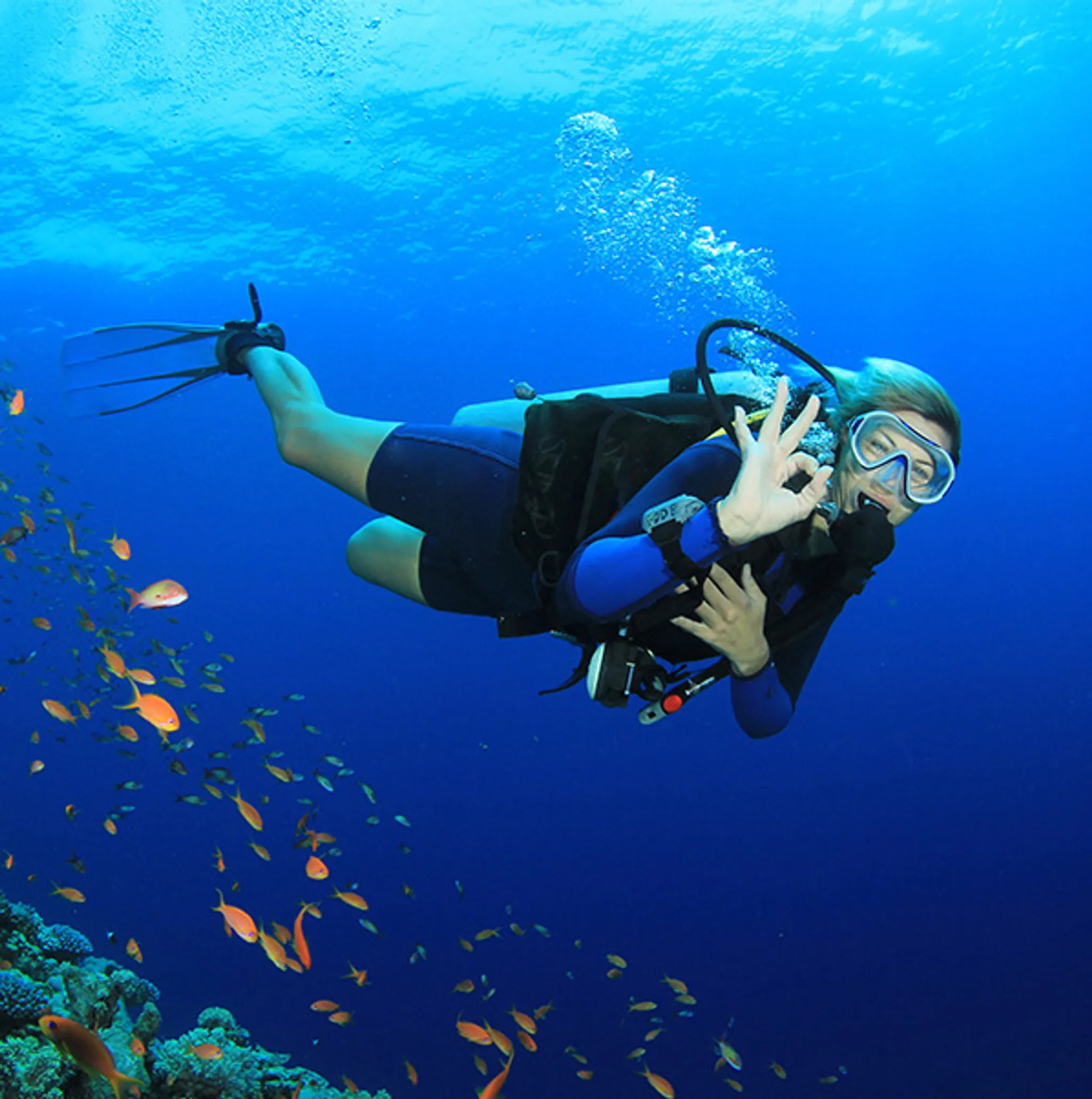 Cours de Rattrapage de Plongée PADI