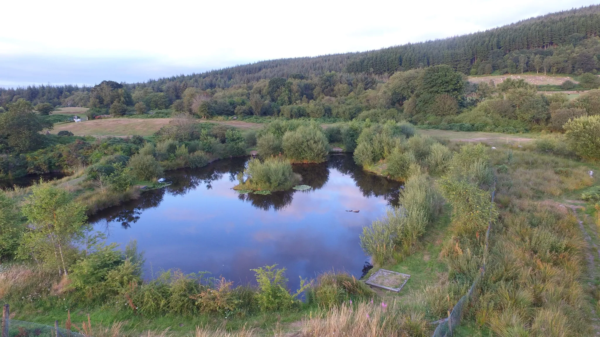Bait fishing for Rainbow Trout at Greenhill Fishery Island Pool