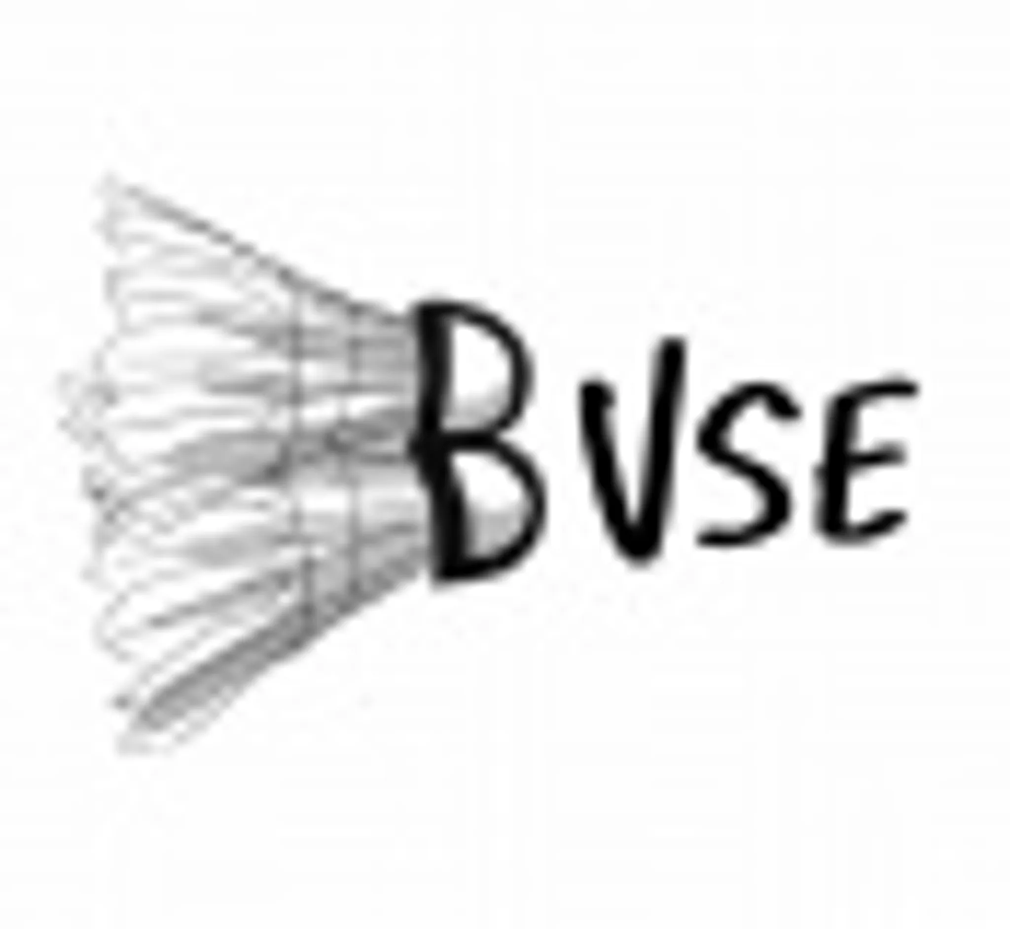BVSE