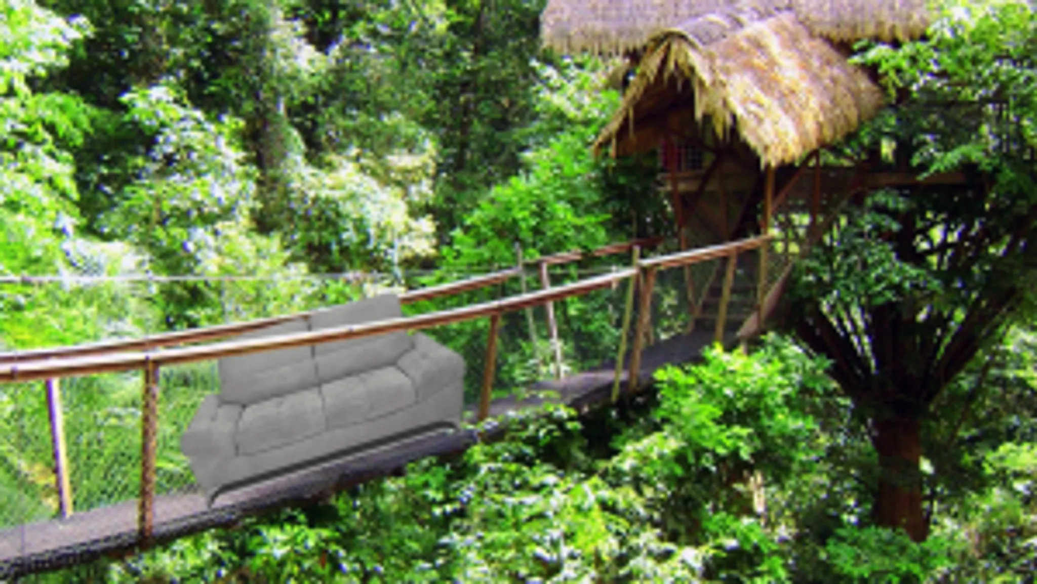 Stage de musique classique : Musiques d'ensembles - Ensemble en musique