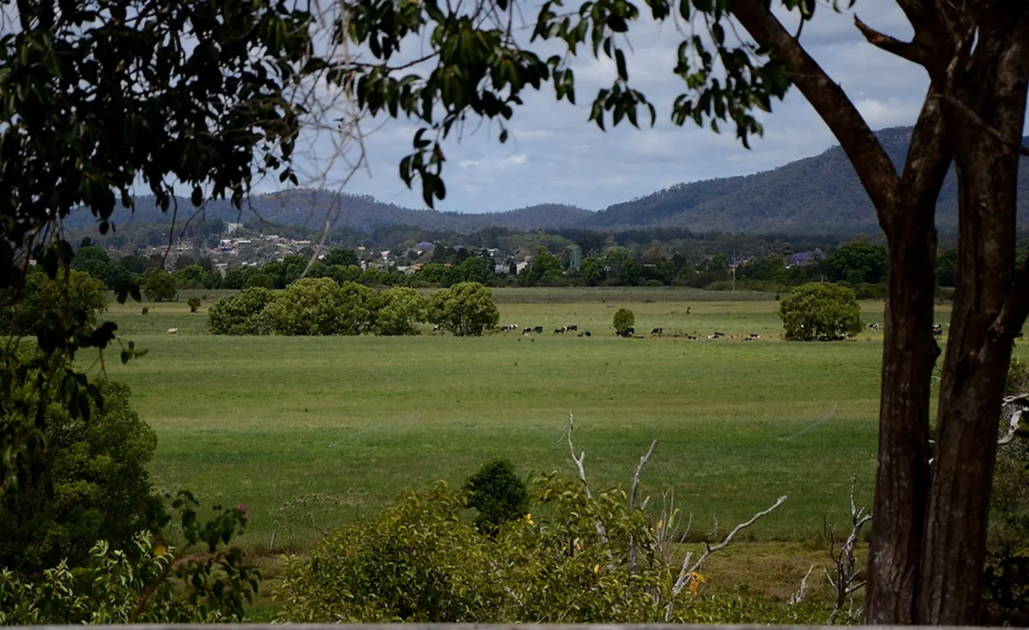 FUN Yoga Classes in Wauchope