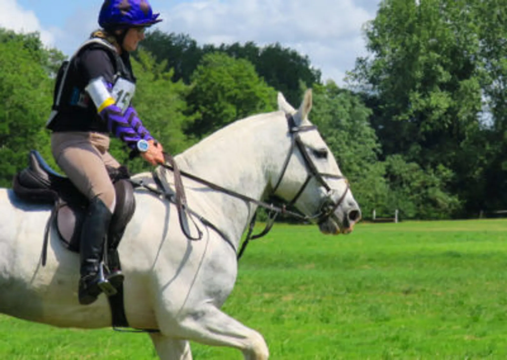 Blackwater Farm Cross Country Course