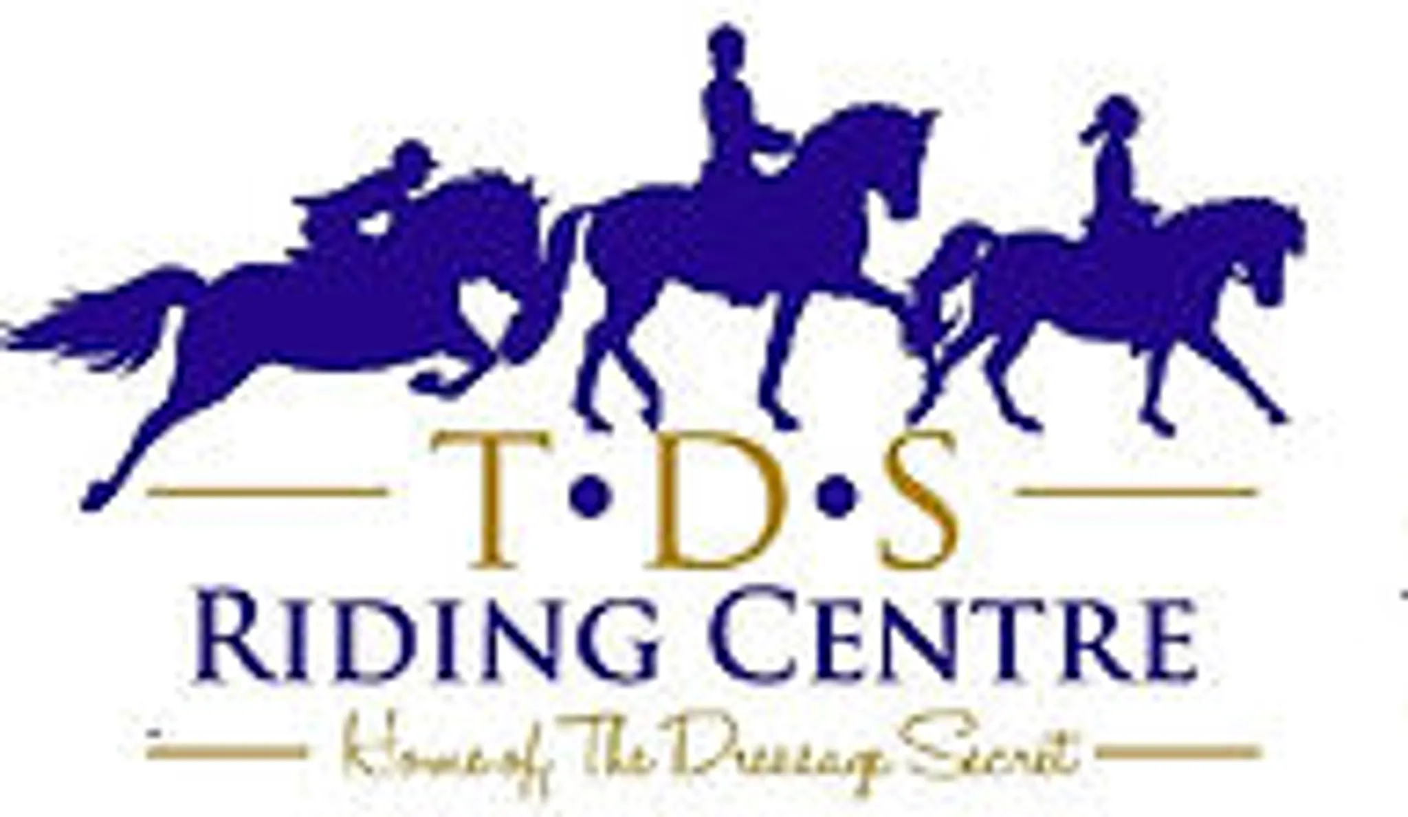 TDS Riding Centre, Tong