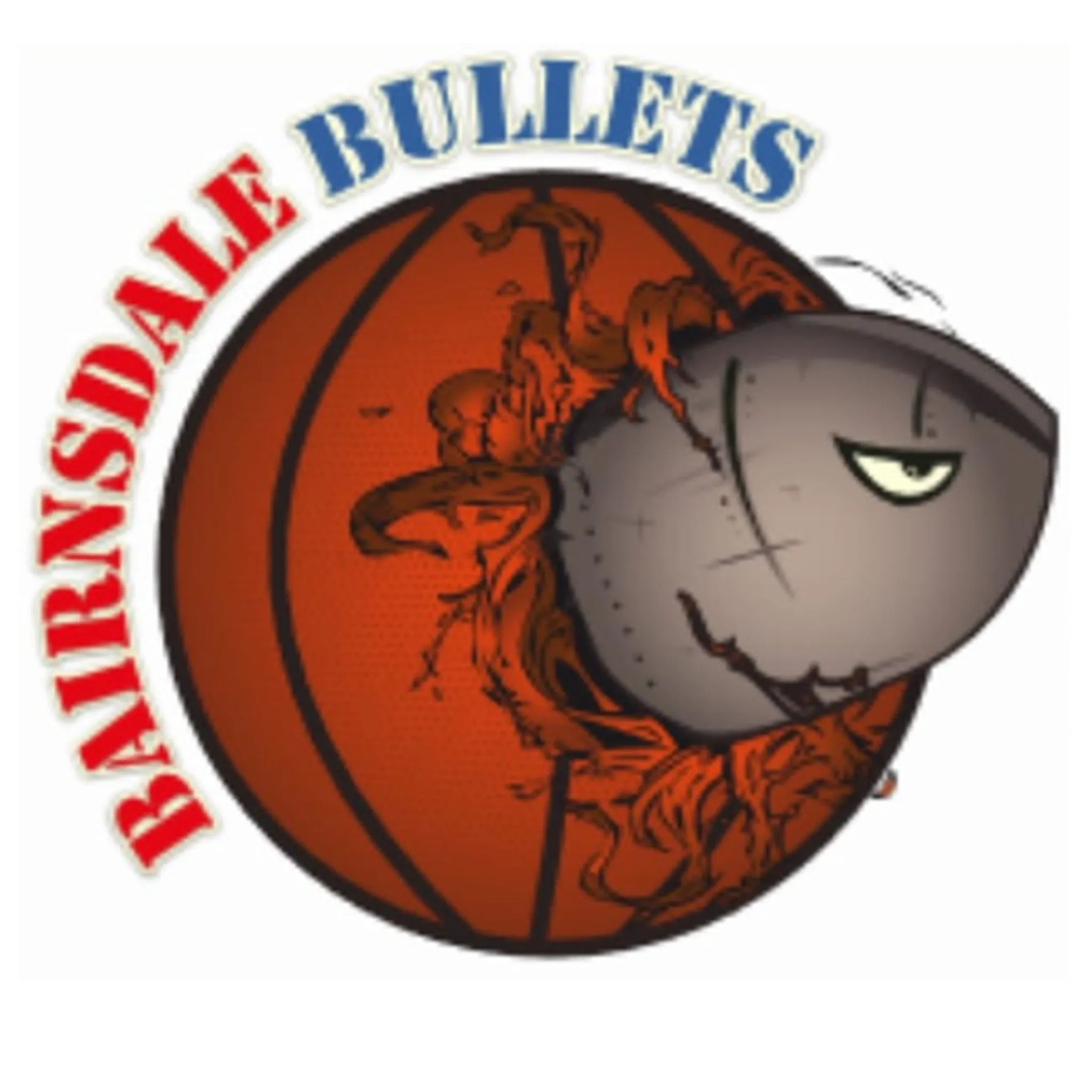 Bairnsdale & District Amateur Basketball Association