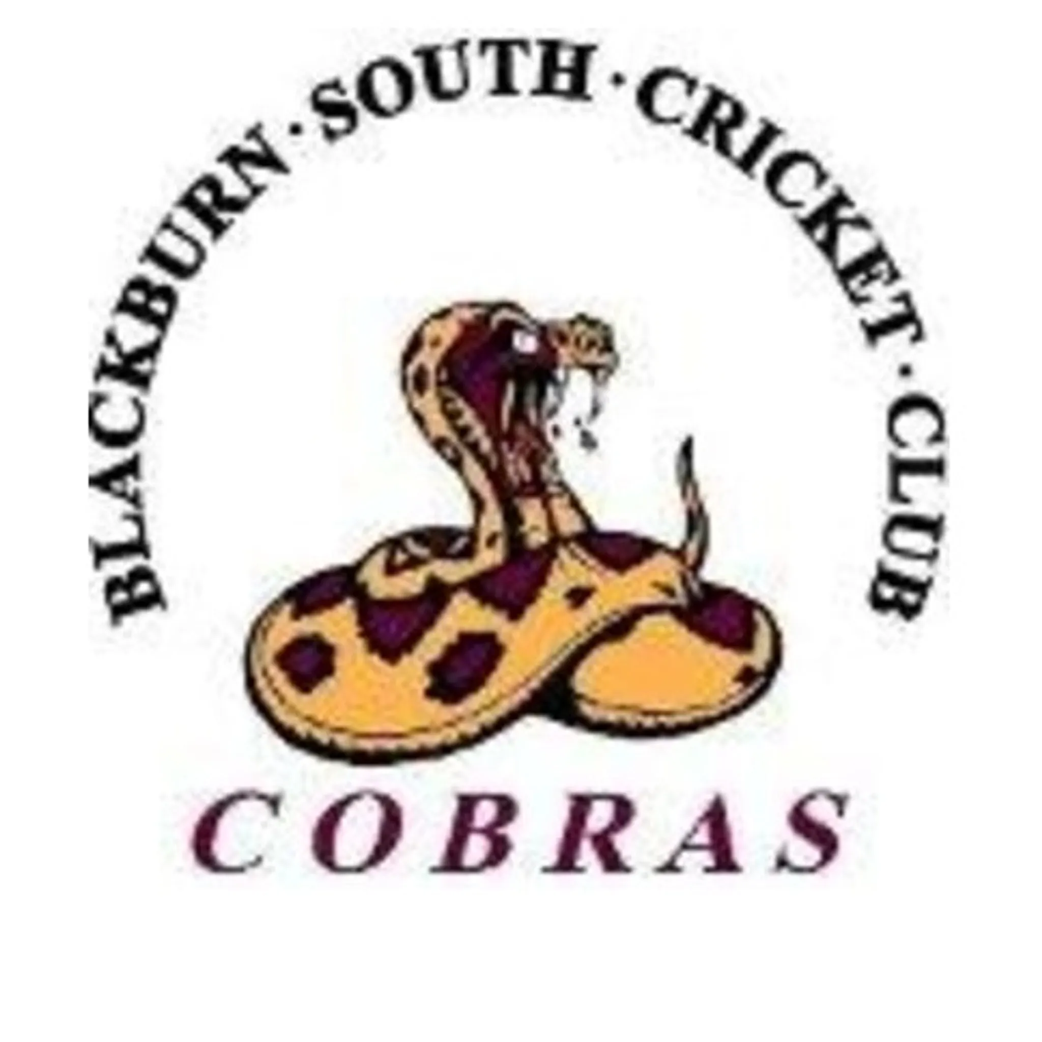 Blackburn South Cricket Club