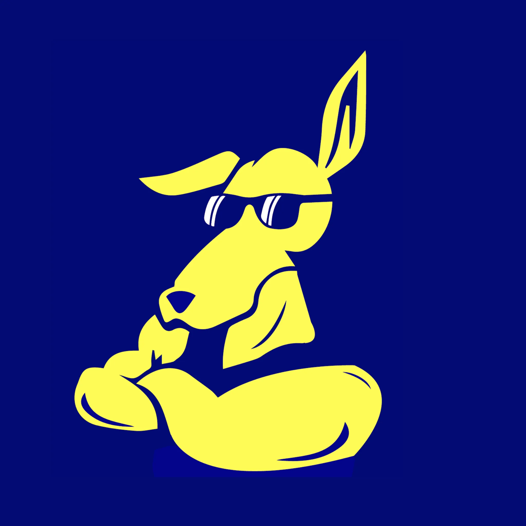 Avondale Touch Football Association