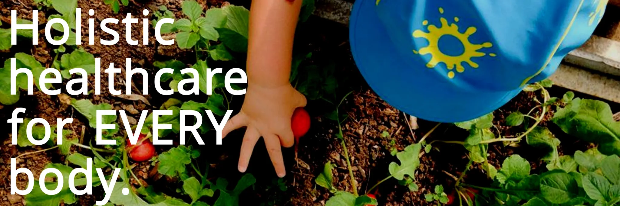 Funky Forest Health & Wellbeing - Upper Coomera