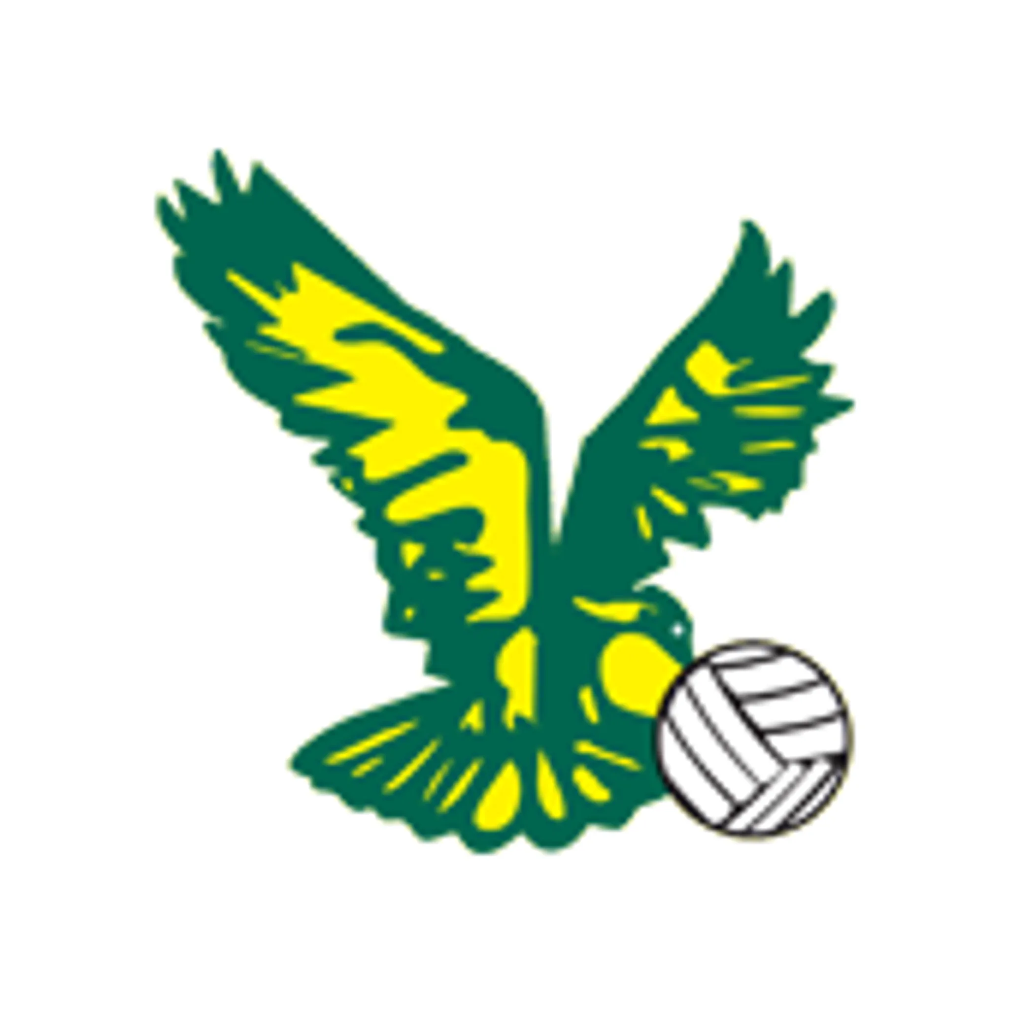 Goldeagles Netball Club