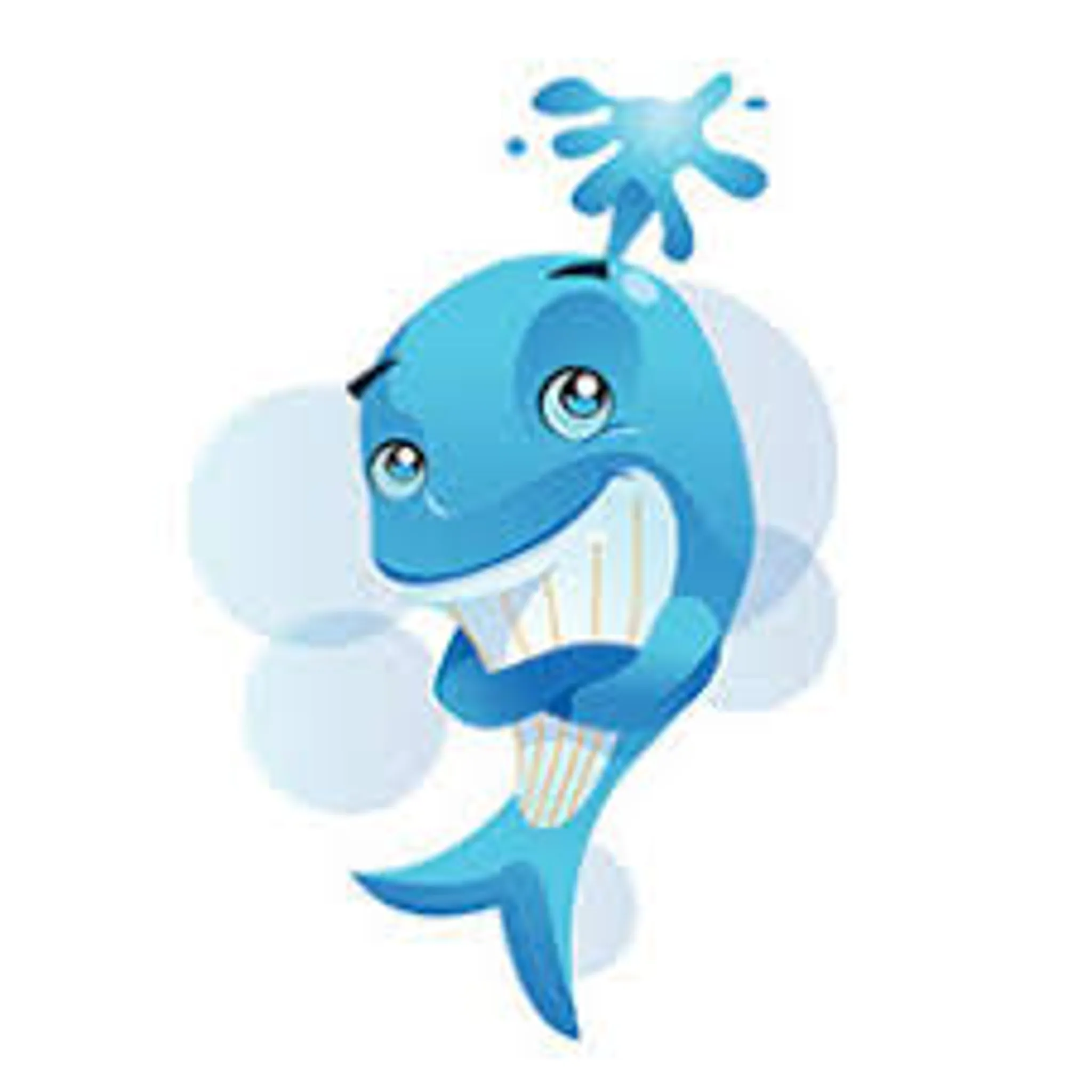 Macarthur Learn to Swim