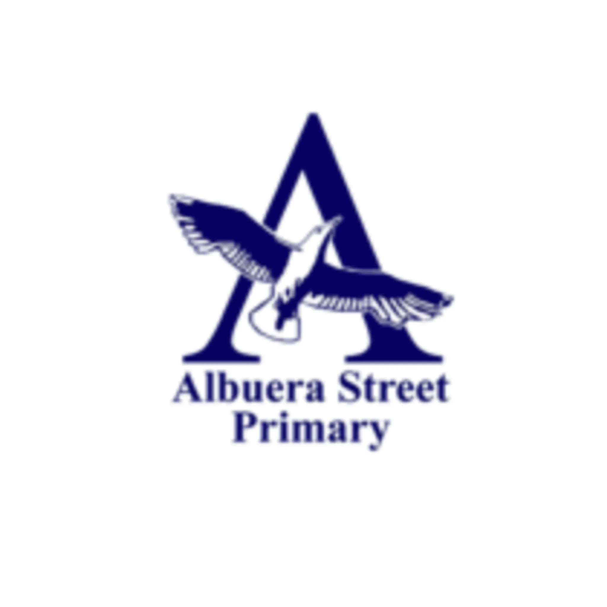 Albuera St Primary School Soccer Club