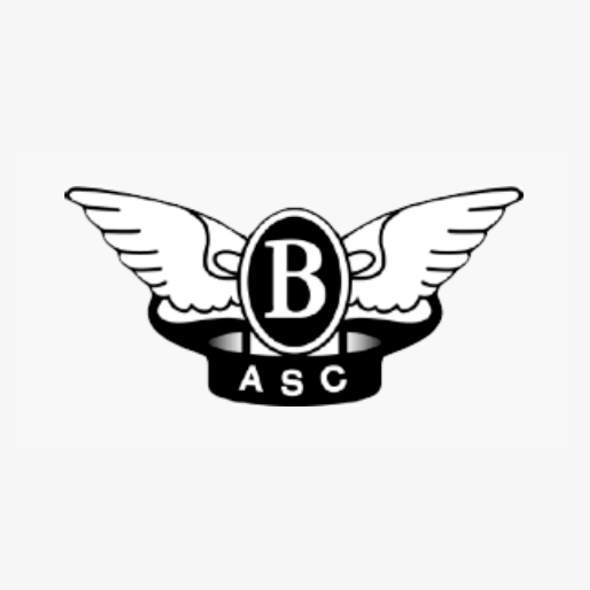 Balmain Amateur Swim Club