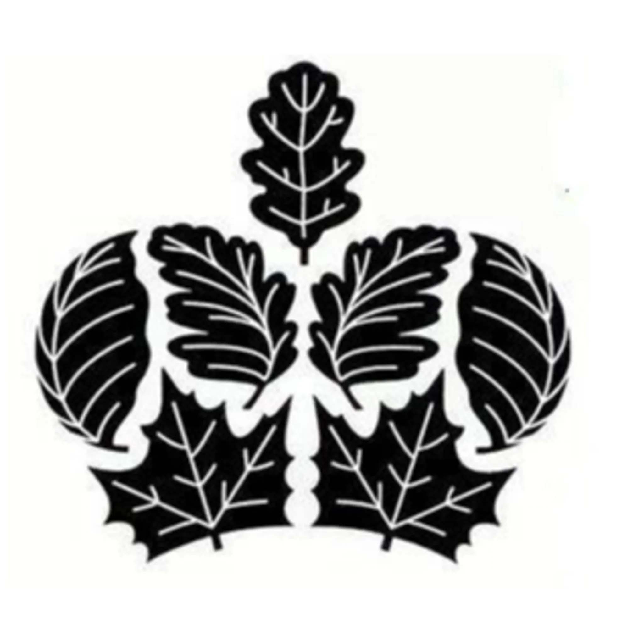 Princes Park Touch Football