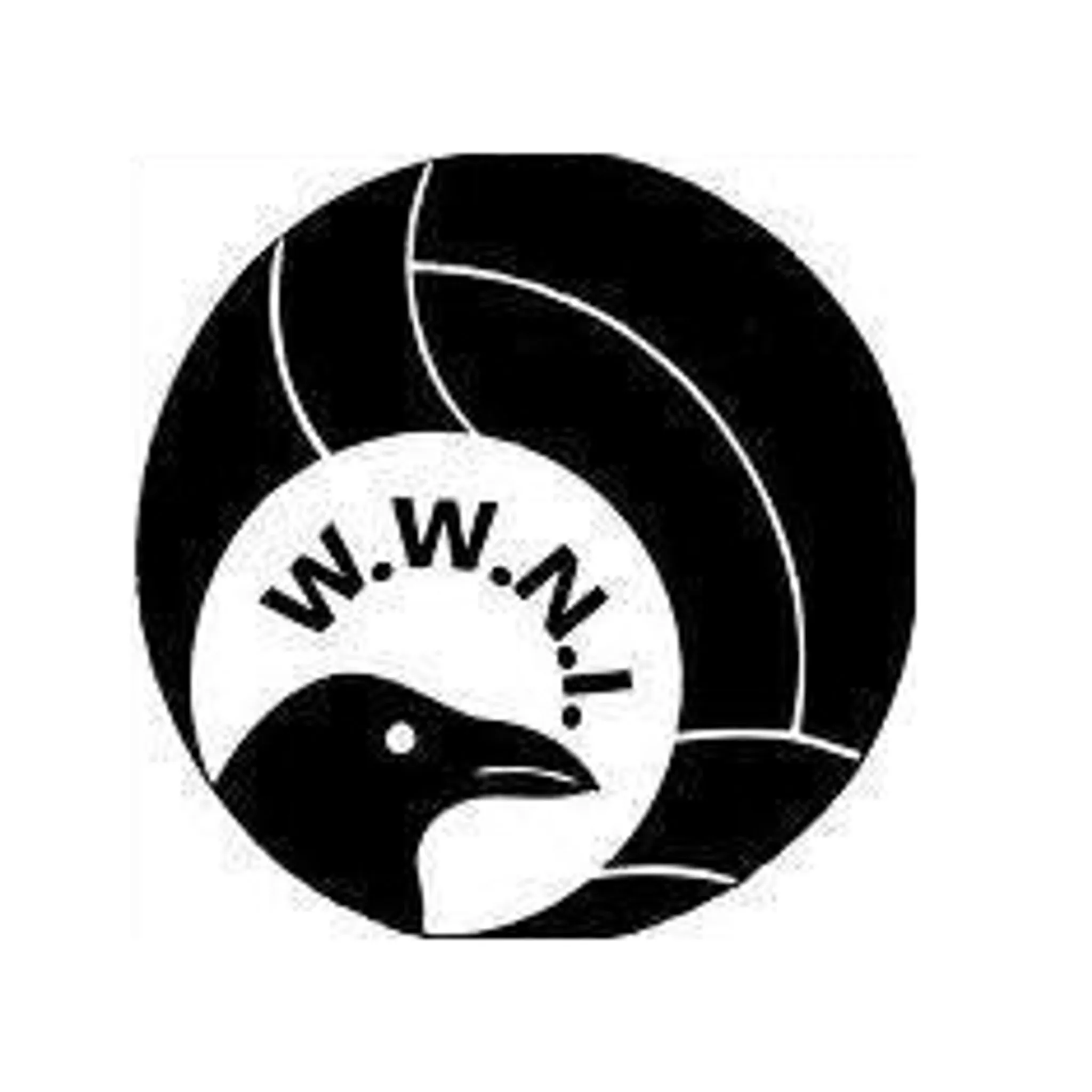 Wagga Wagga Netball Association