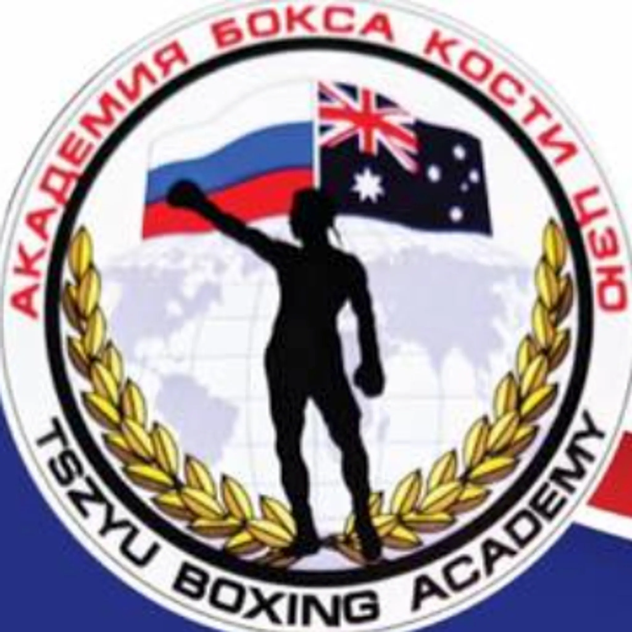 Tszyu Boxing Academy