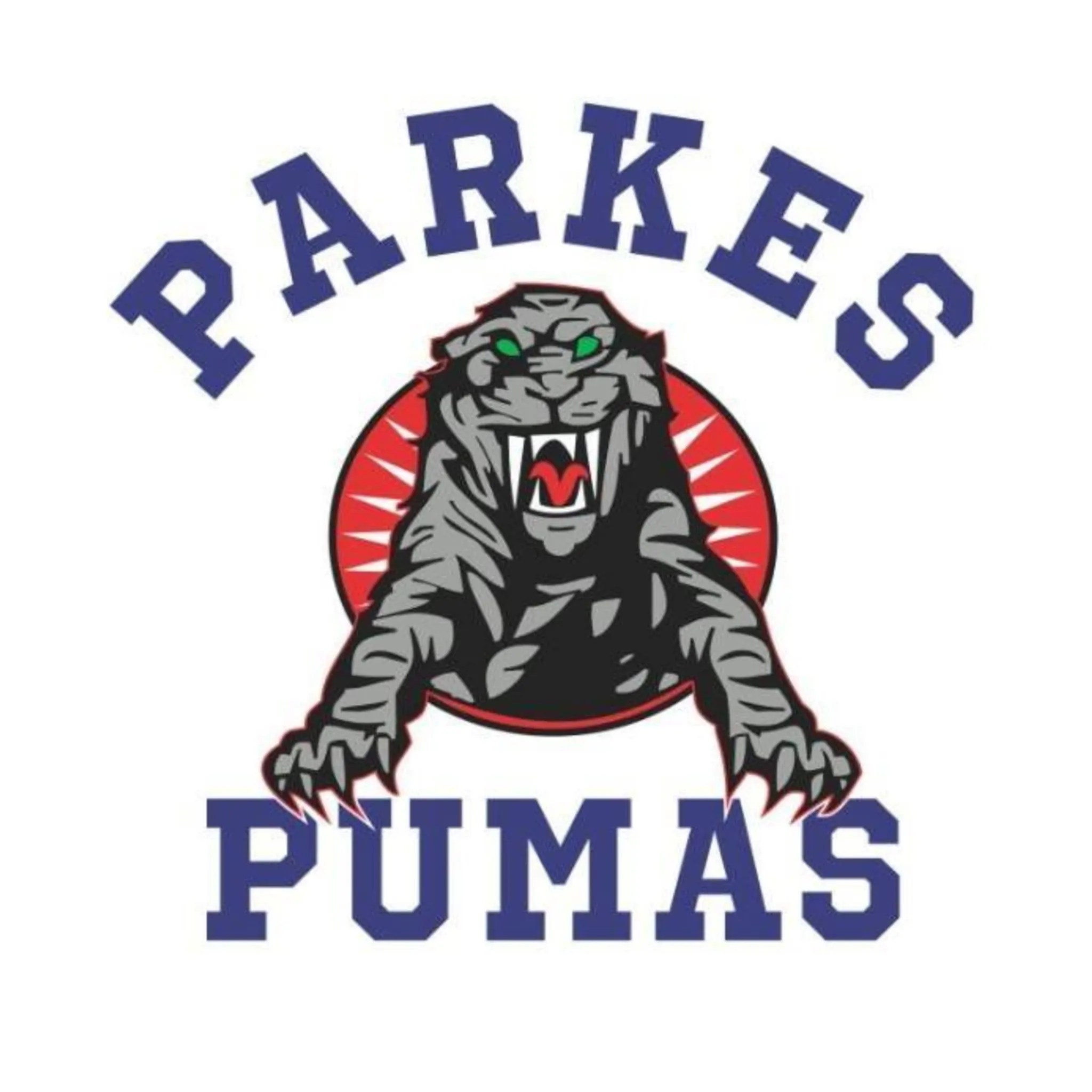 Parkes Touch Association