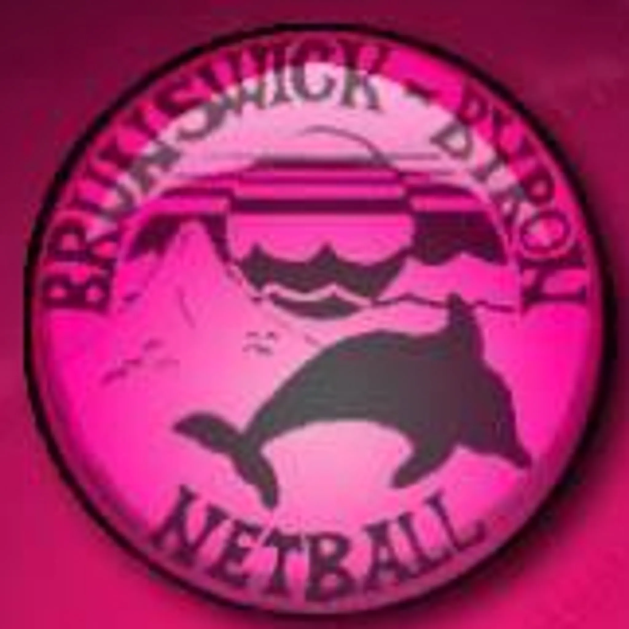 Brunswick Byron Netball