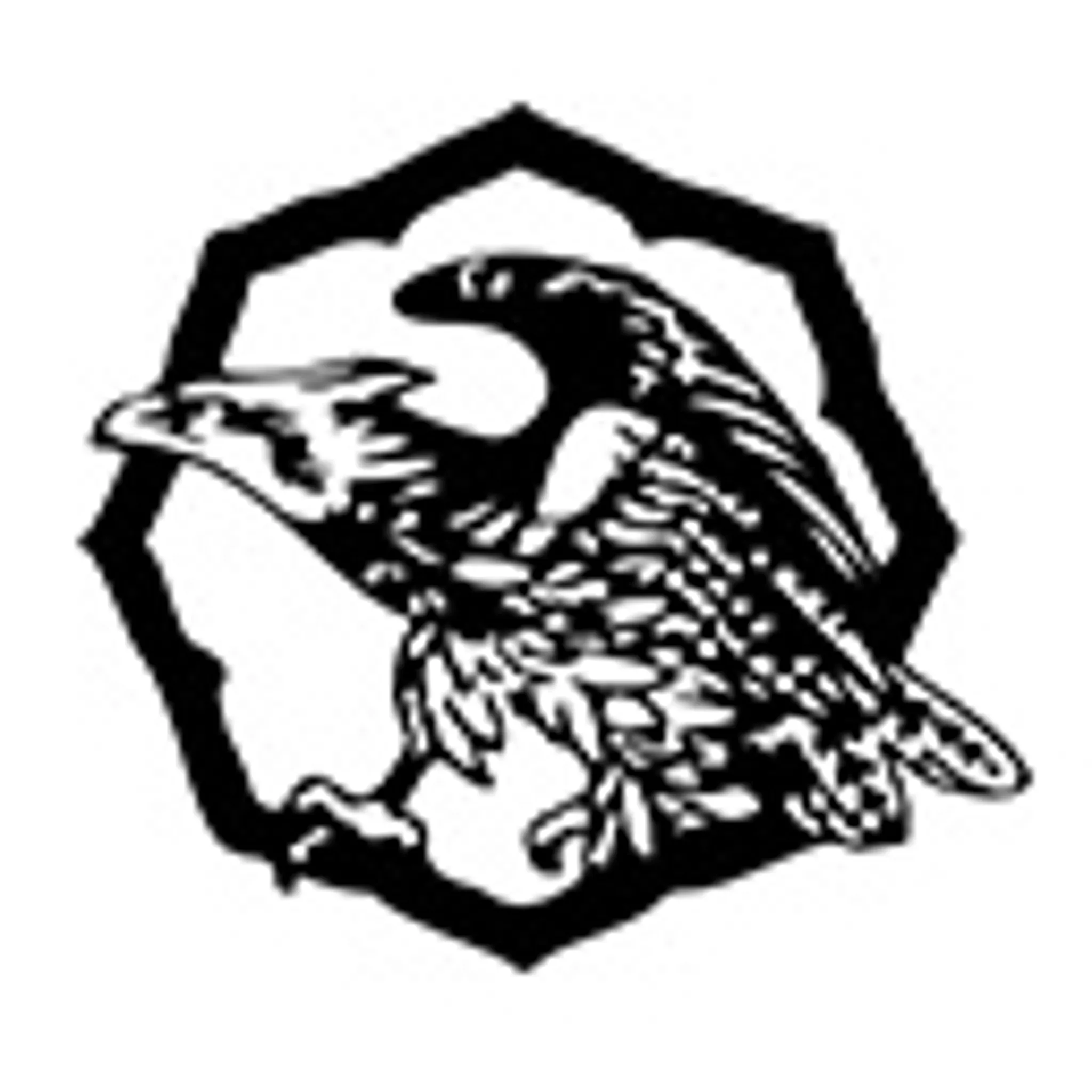 Aikido Yoshinkan Watanabe Dojo WA