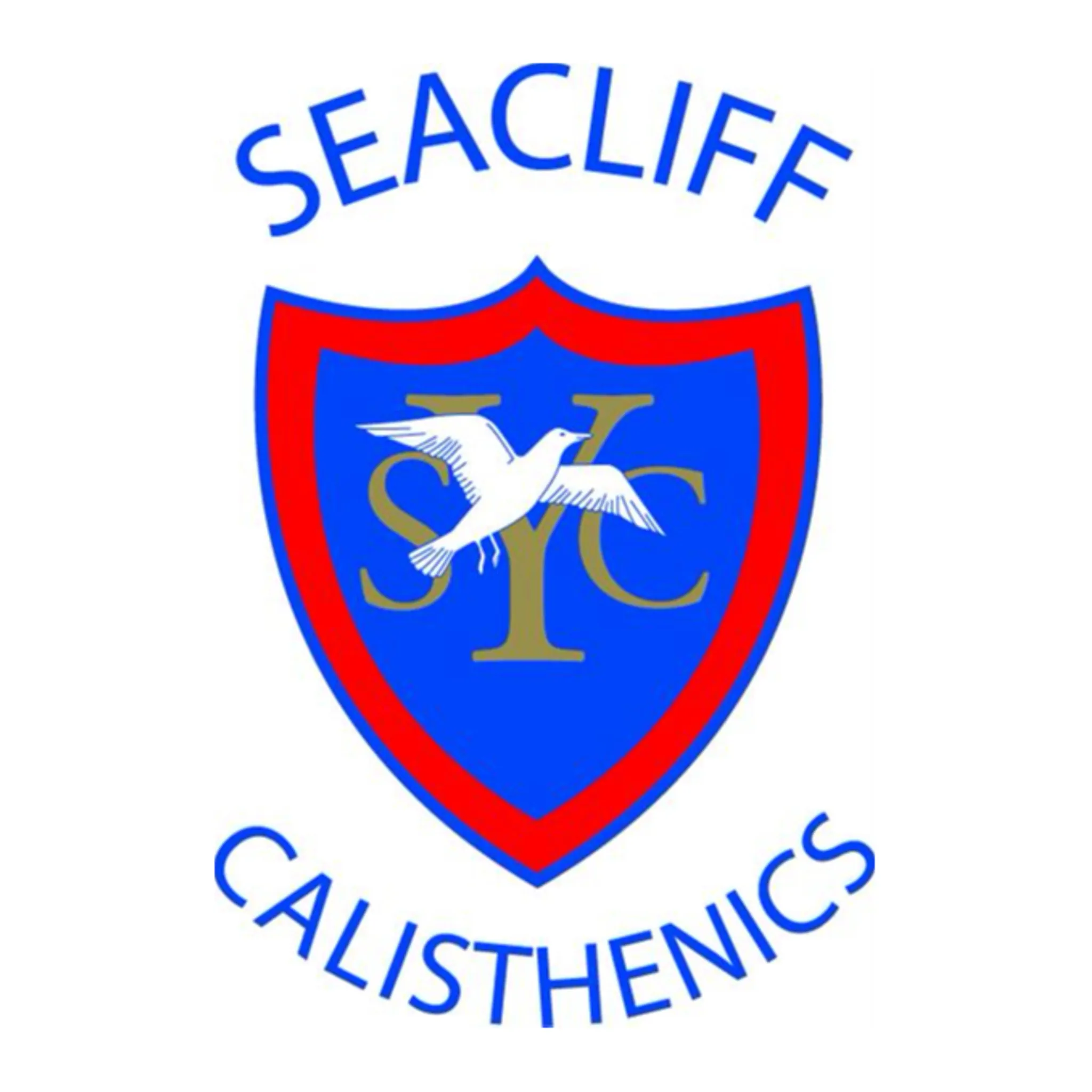 Seacliff Calisthenics Club