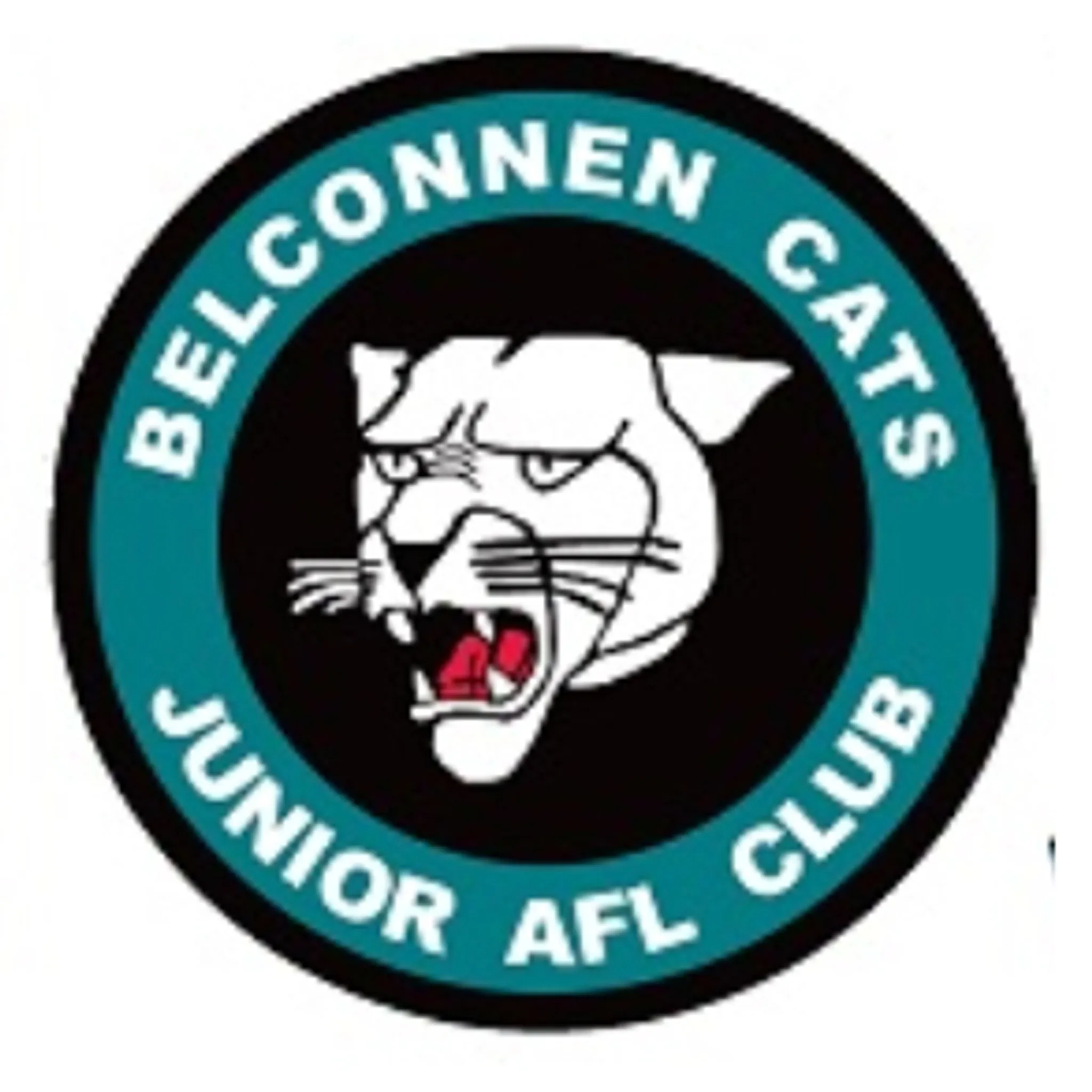 Belconnen Cats Girls Auskick