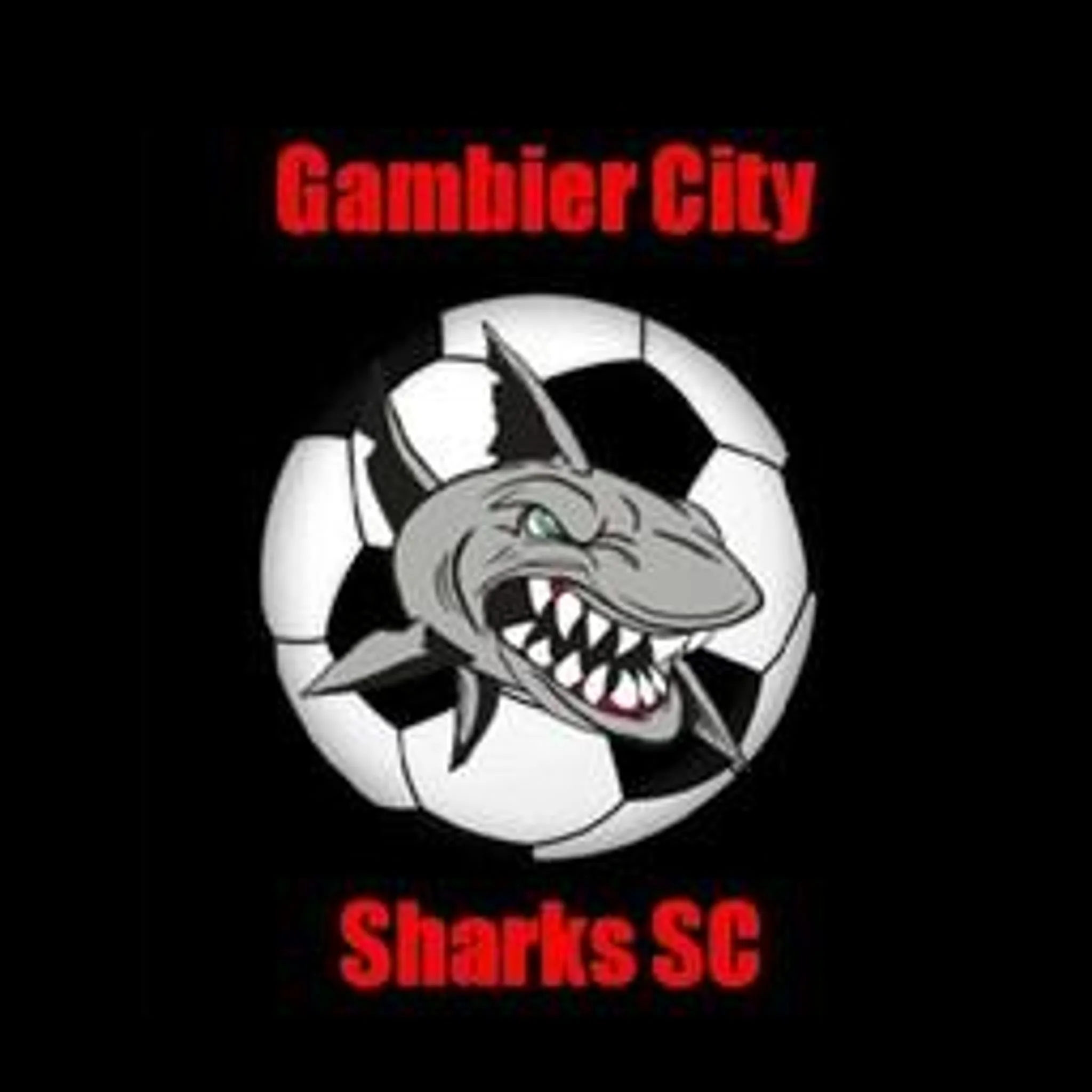 Gambier City Sharks Soccer Club