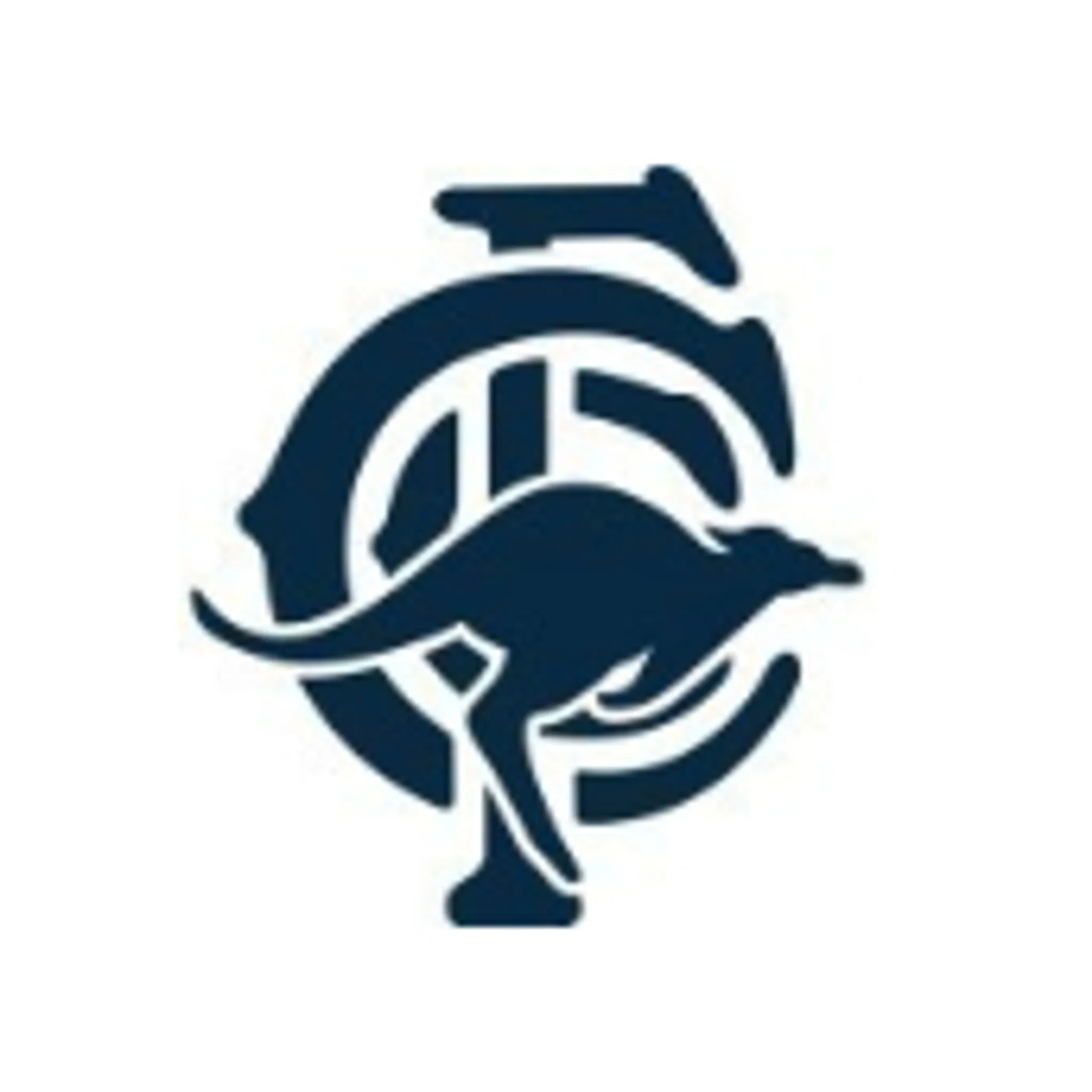 Coorparoo JAFC All Girls