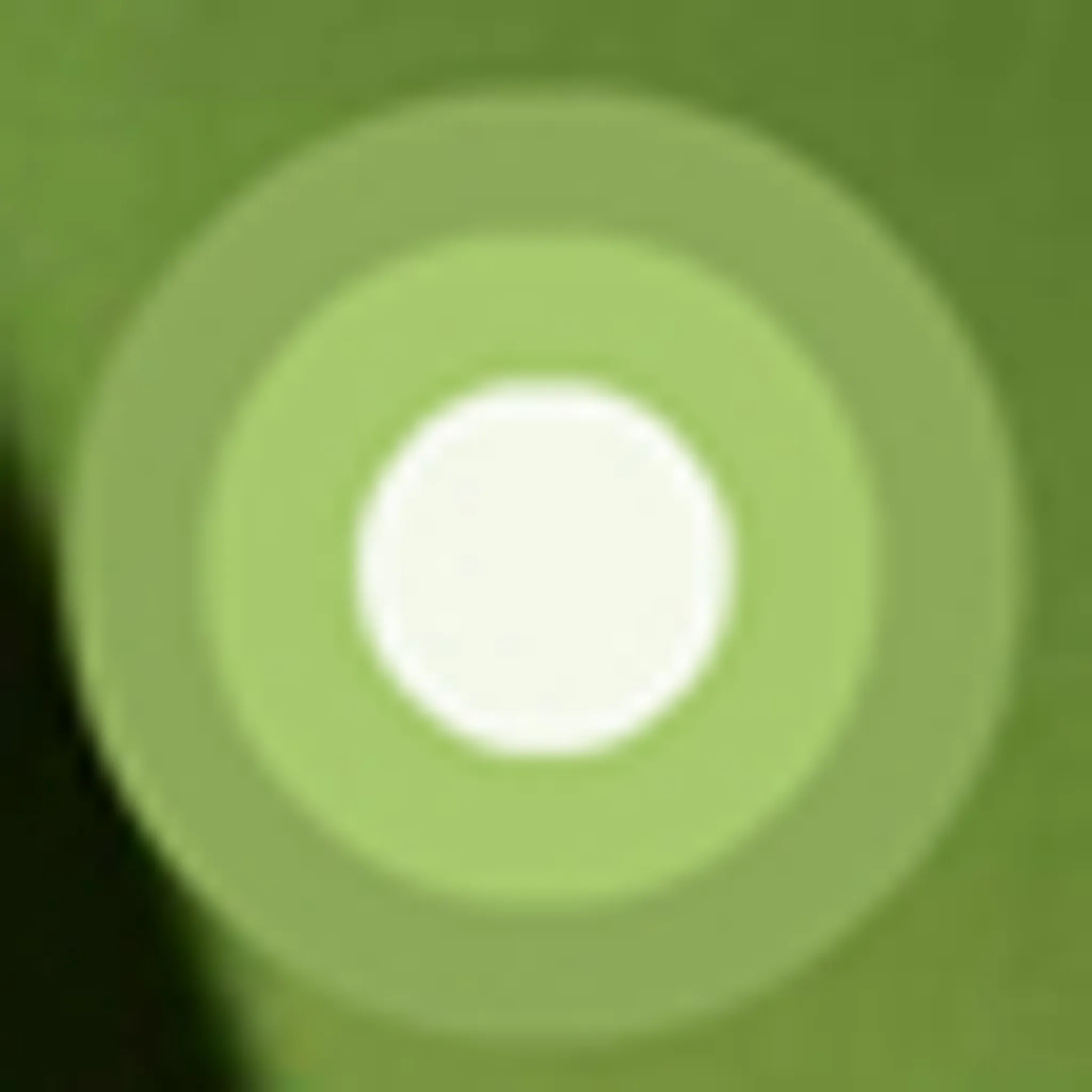 AIM Over 50 Archery Group Inc