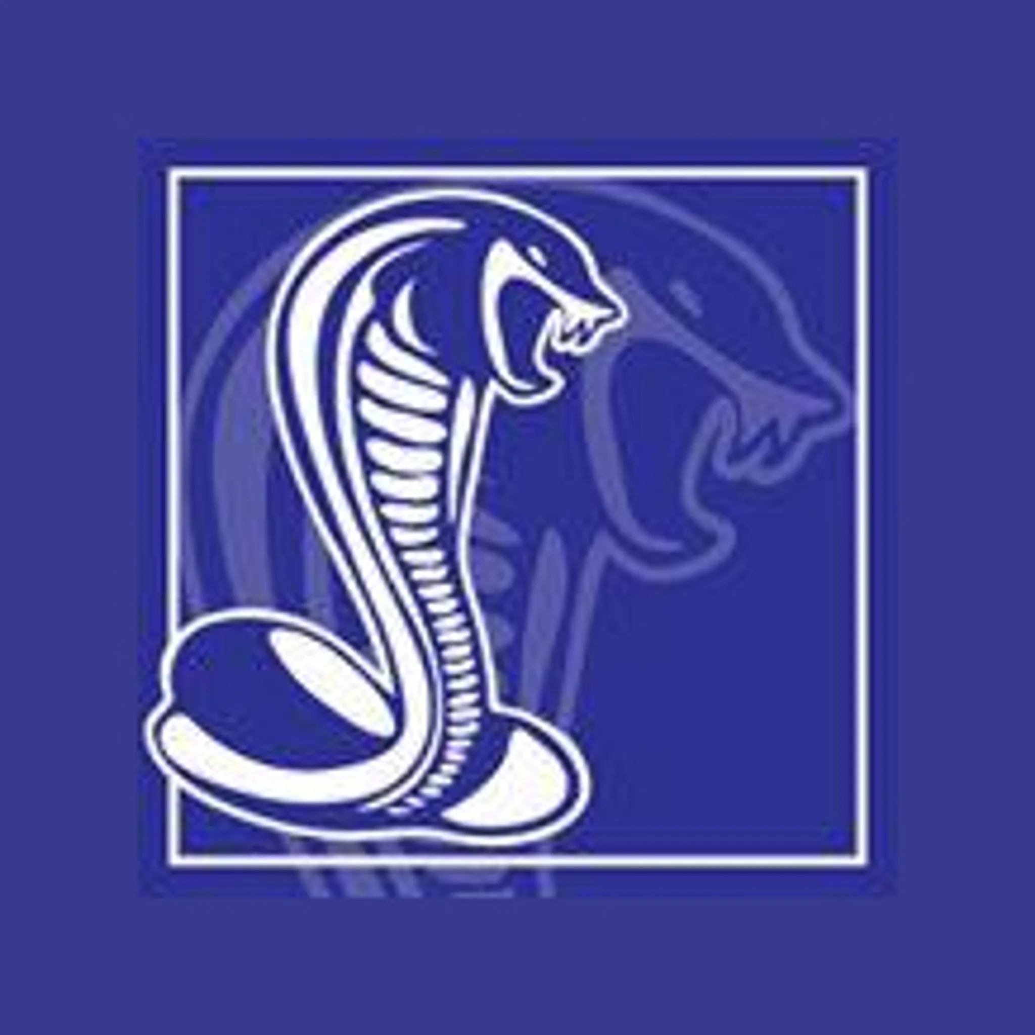 Sandown Cobras Football Netball Club