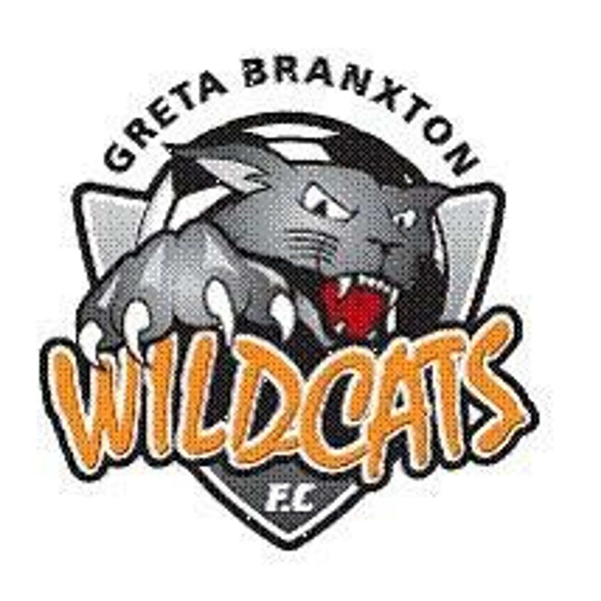 Greta Branxton Football Club