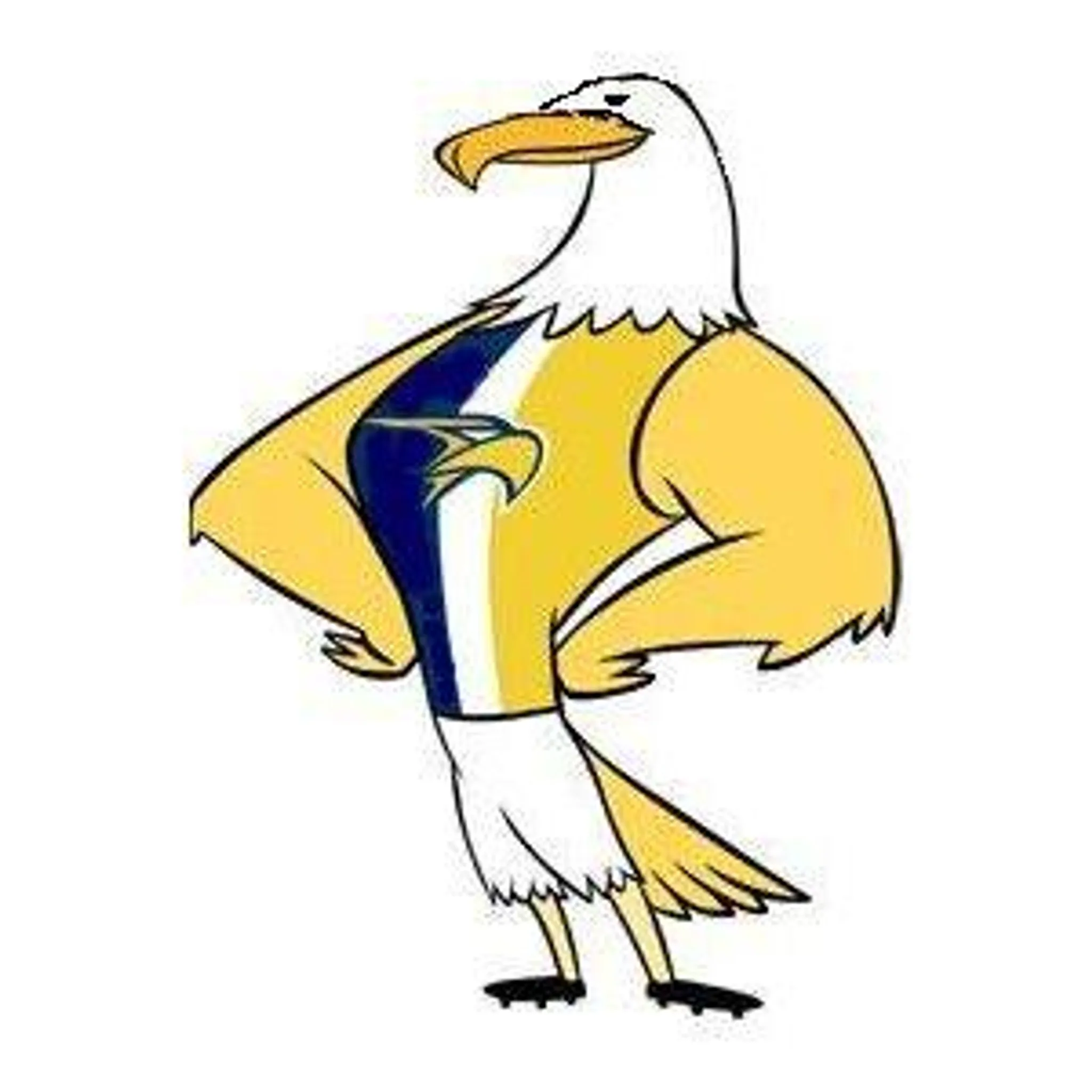 Mallee Eagles(Lalbert St. Mary's Football Netball Club)