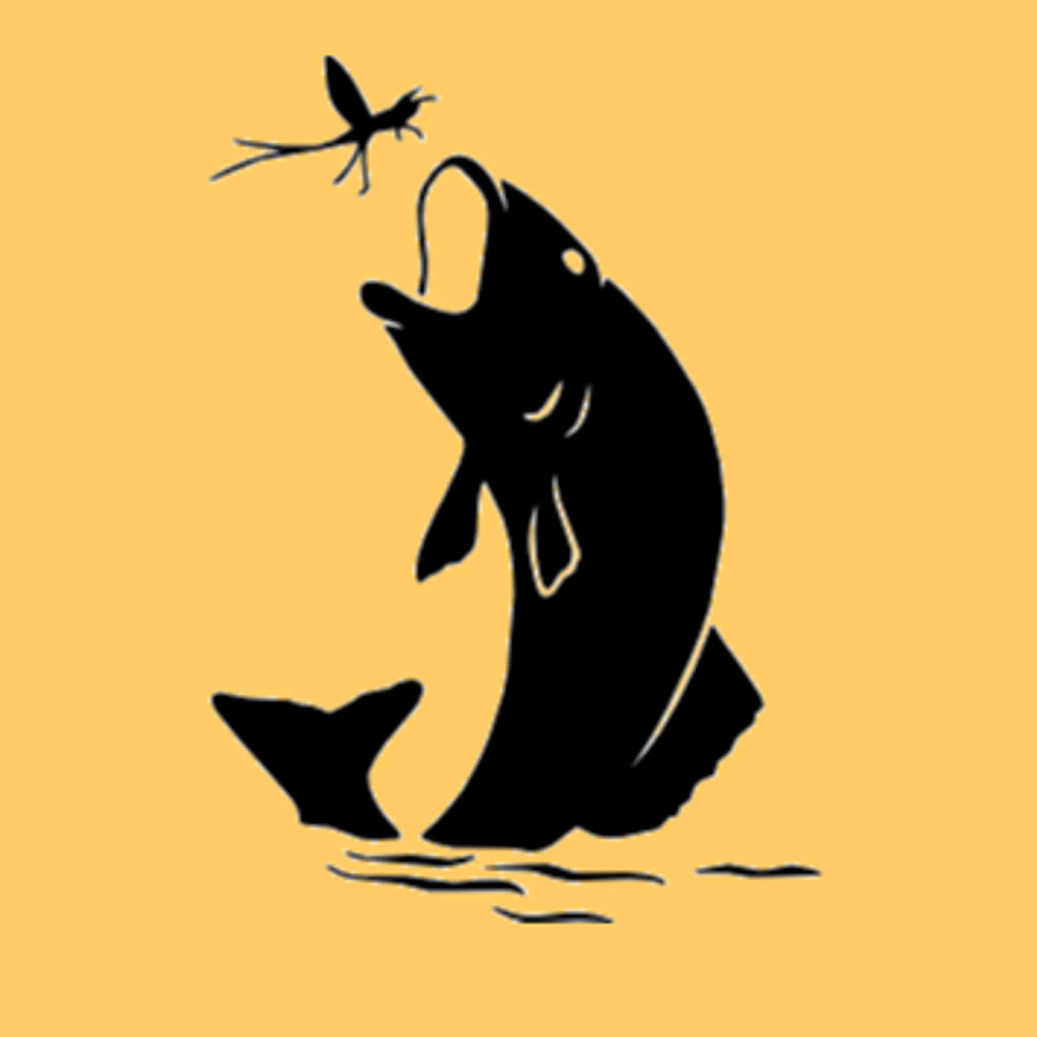 Hastings Fly Fishers Club Inc