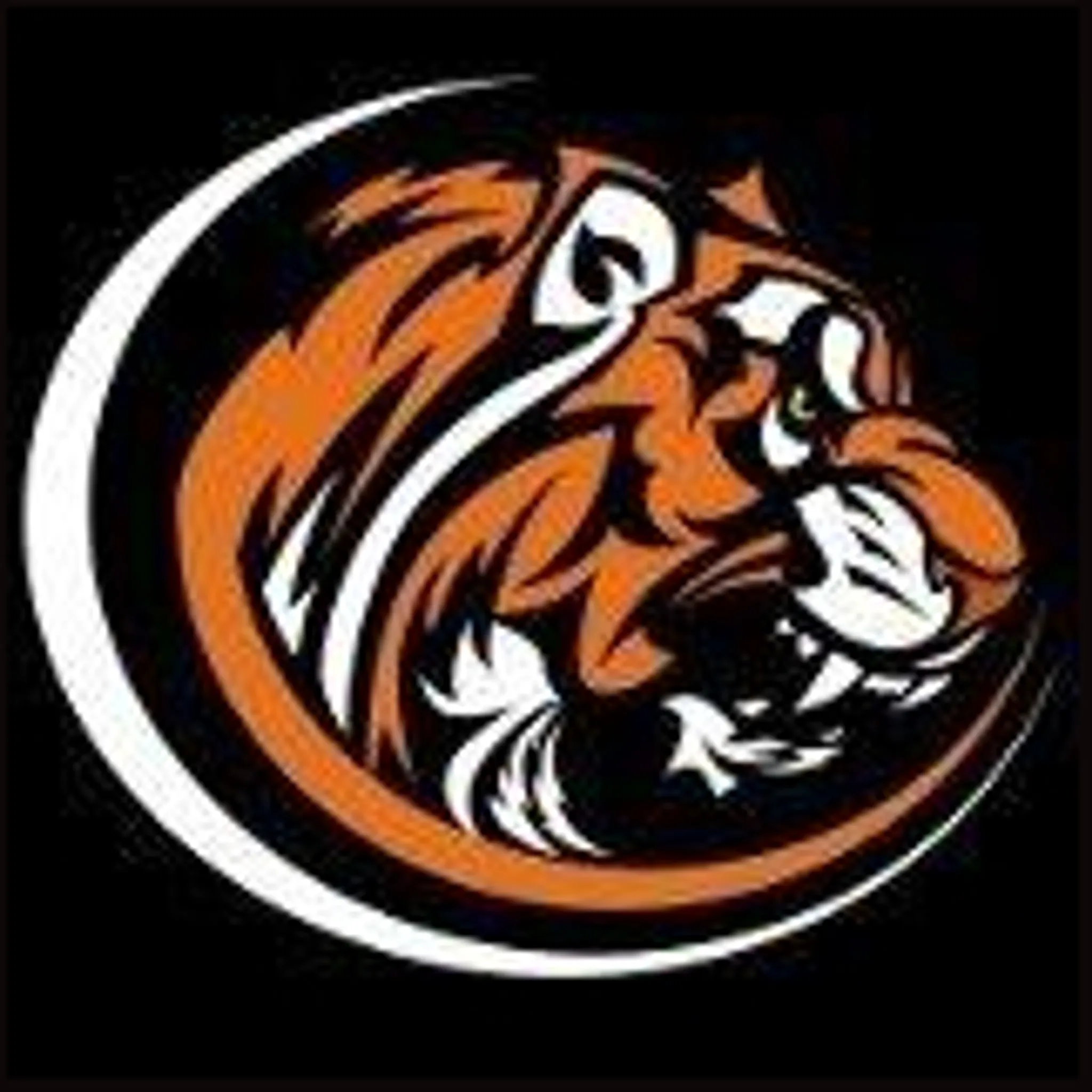 Granville Football Club Inc