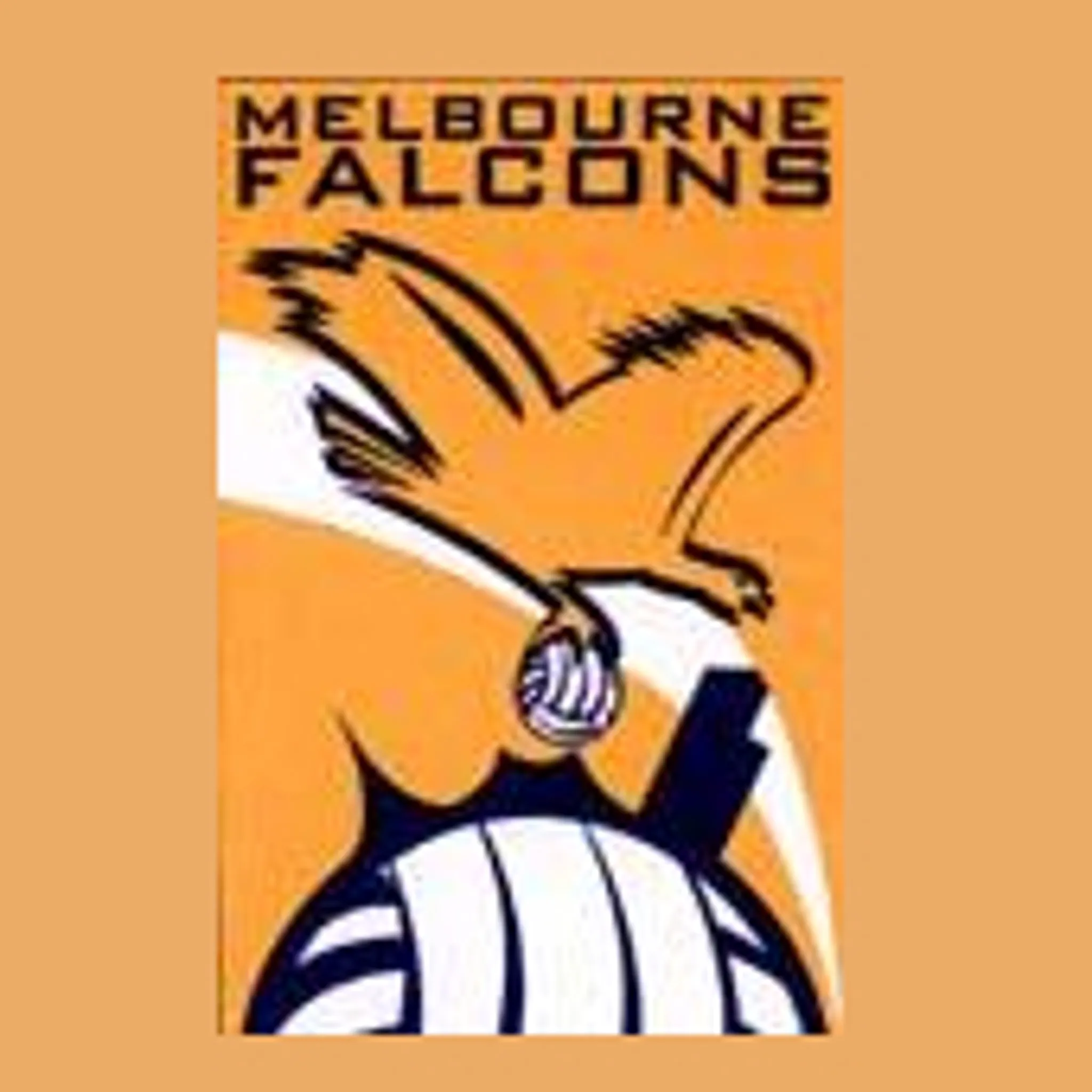 Melbourne Falcons Volleyball Club