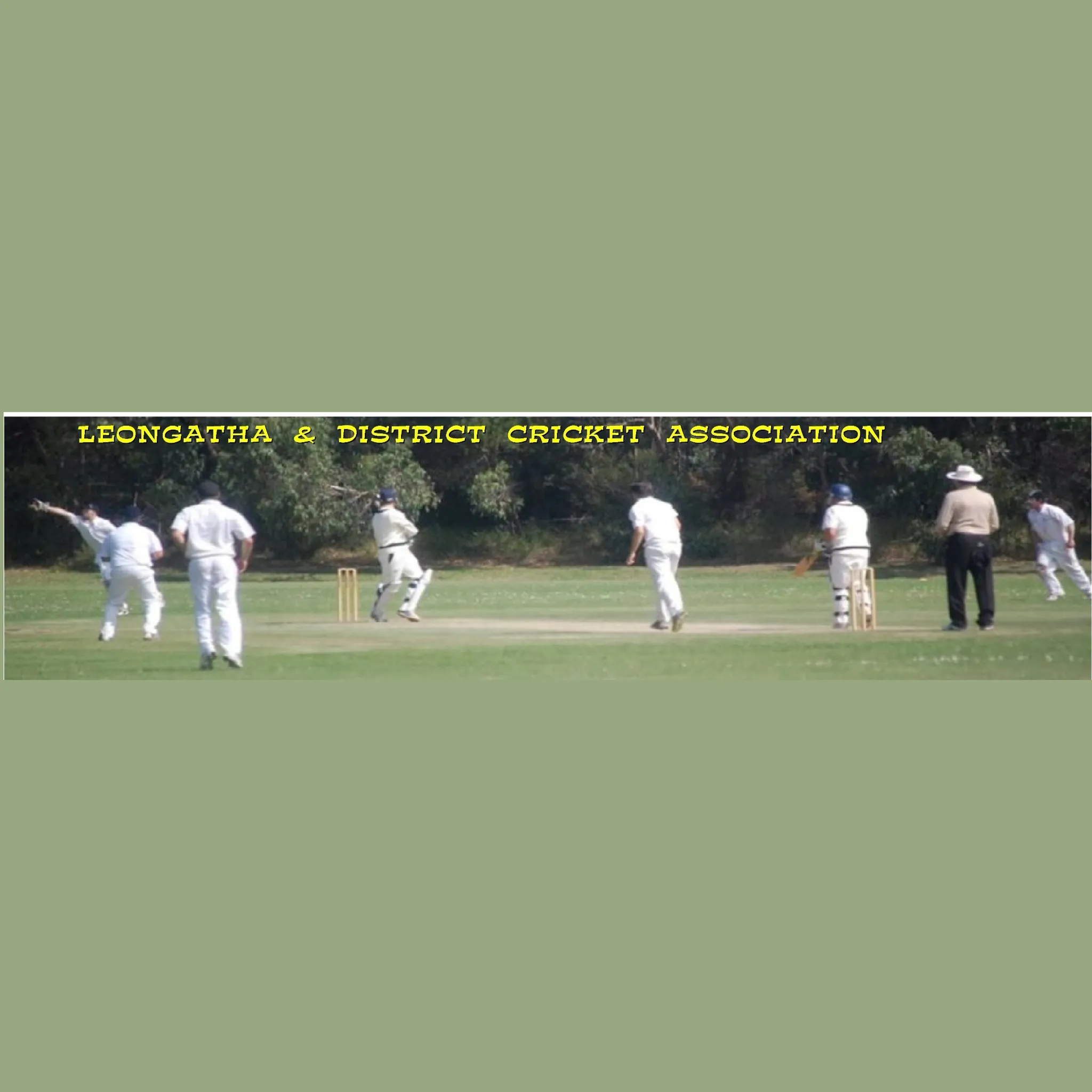 Leongatha & District Cricket Association