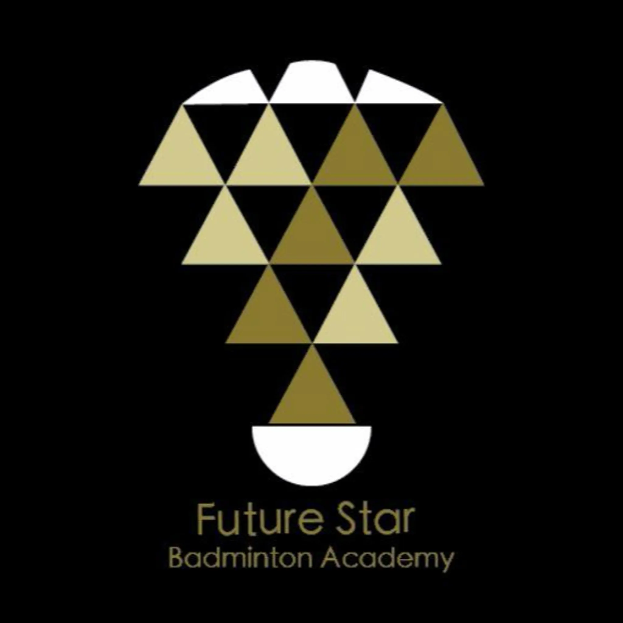 Future Stars Badminton Academy