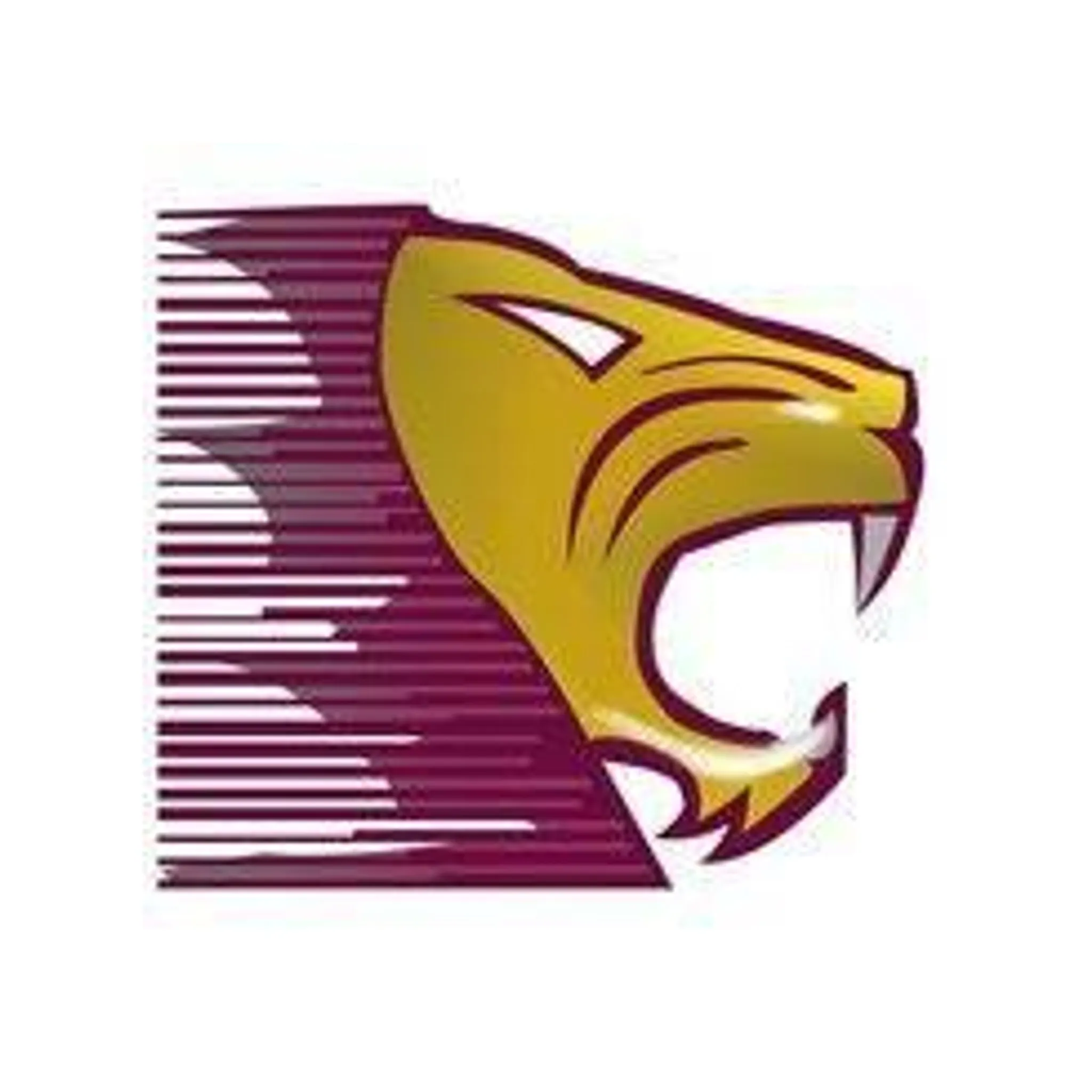 Suburban Lions Hockey Club