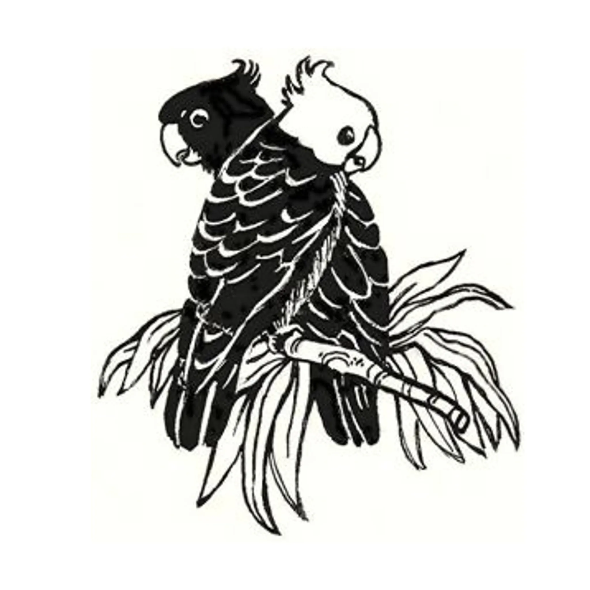 Batemans Bay Bushwalkers