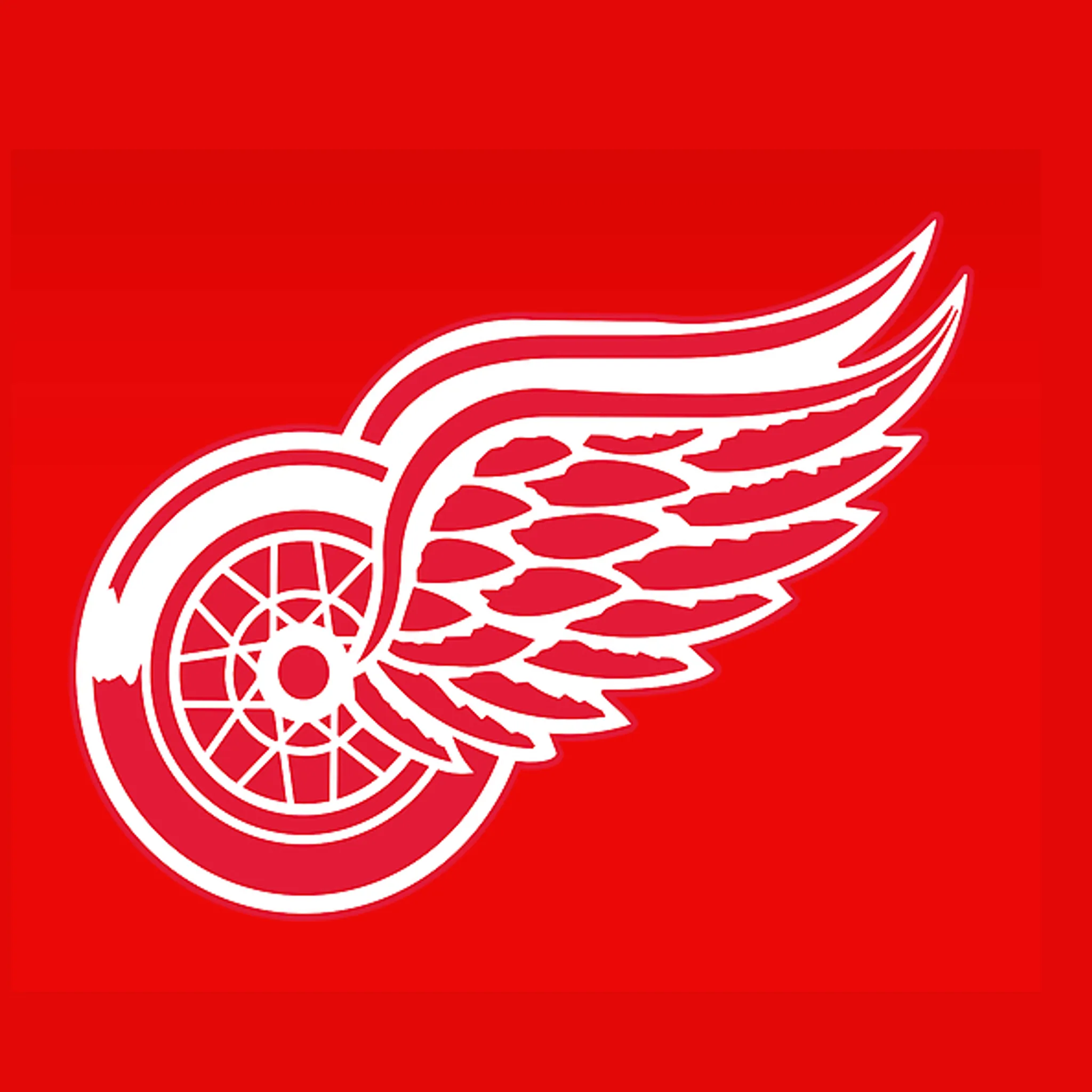 Redwings Ice Hockey Club