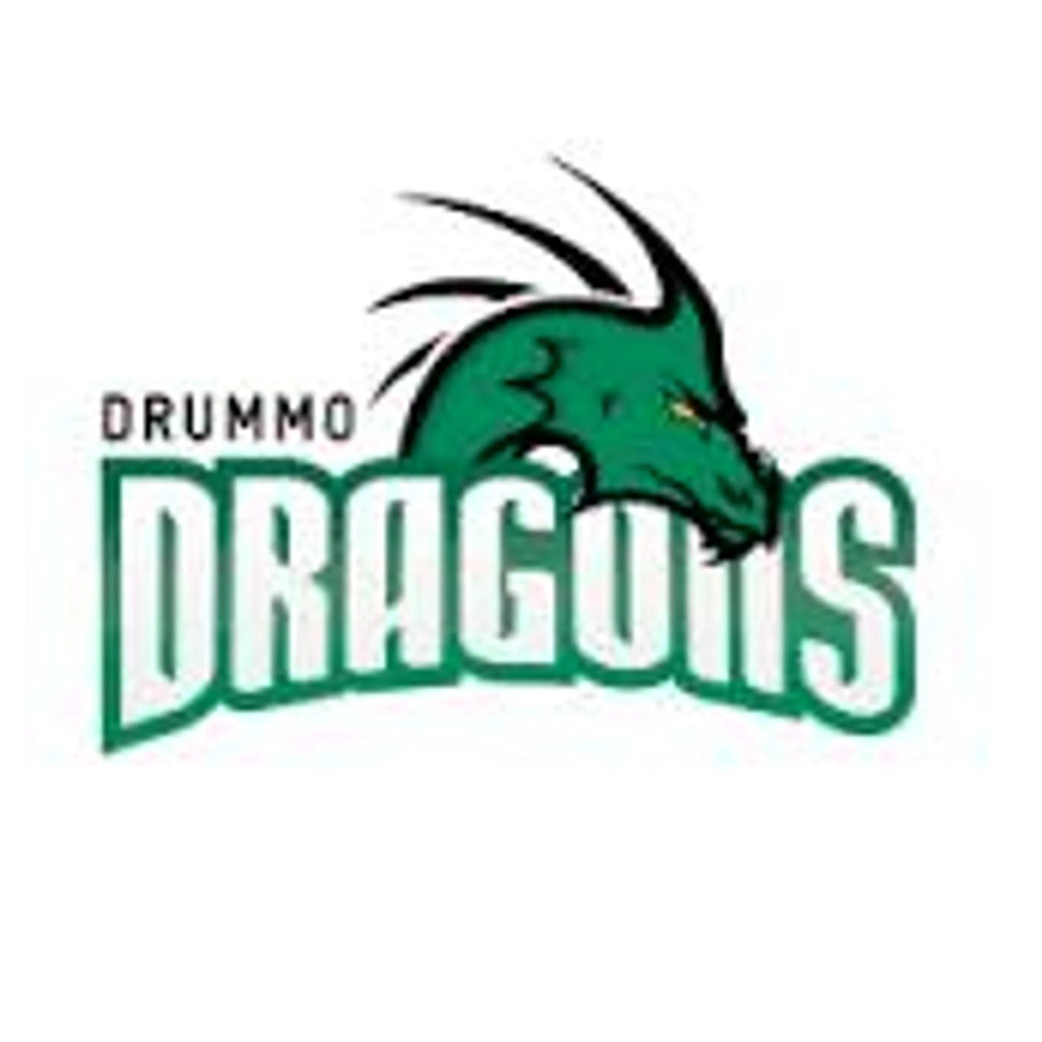 Drummo Dragons Basketball Club