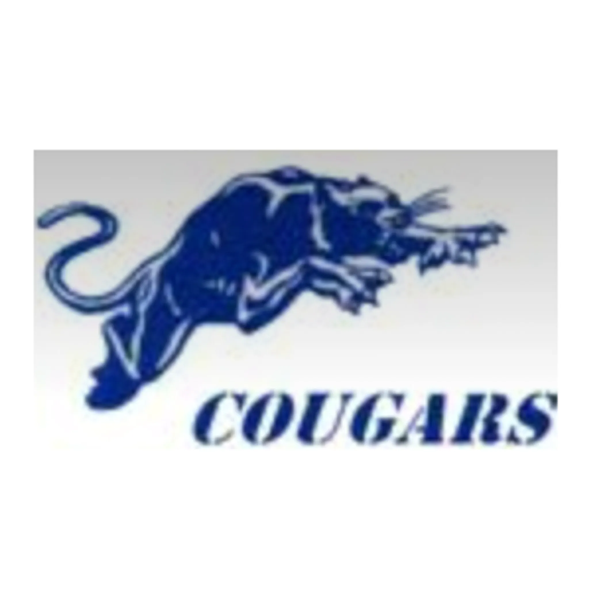 CY Cougars Netball Club