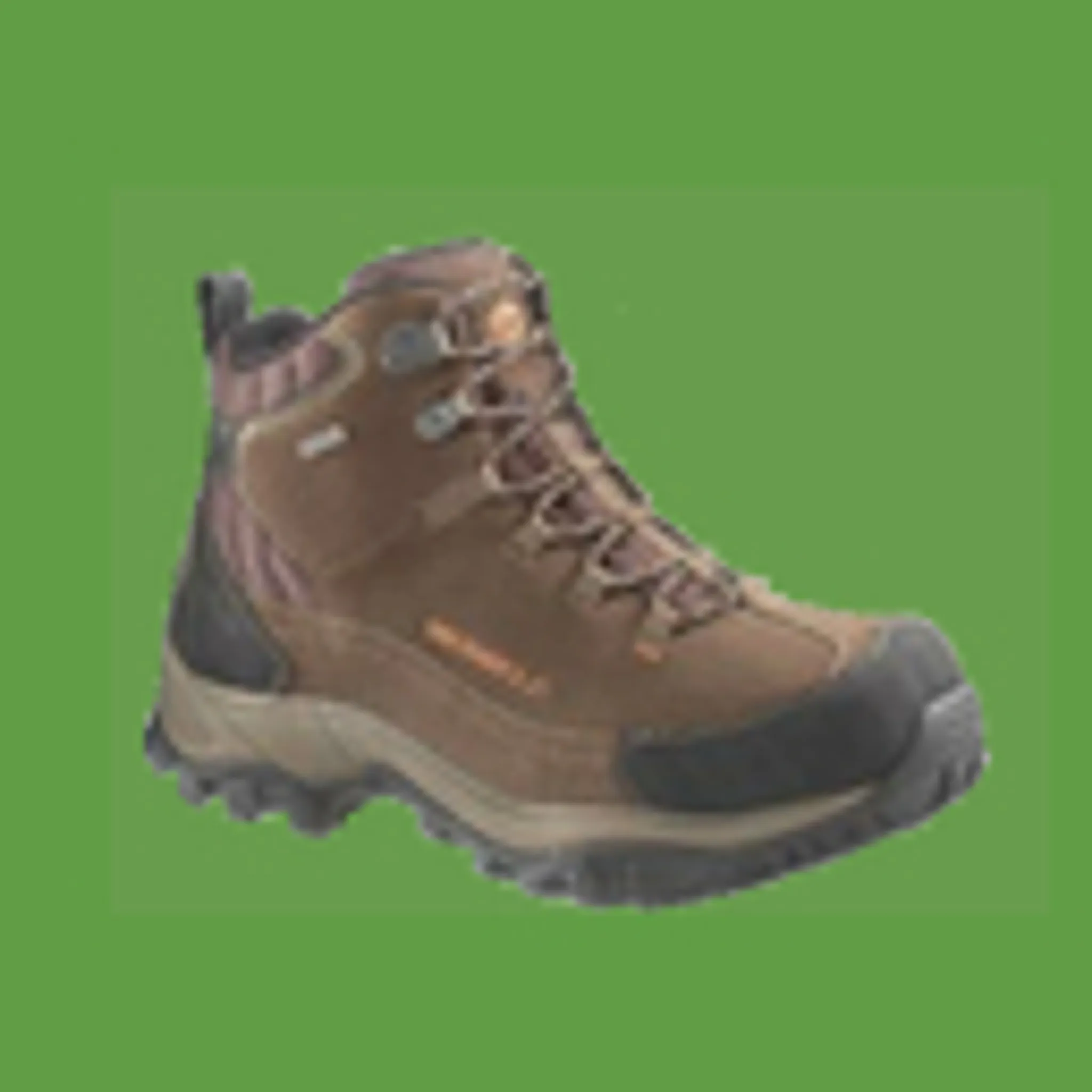 Warringah Bushwalking Club