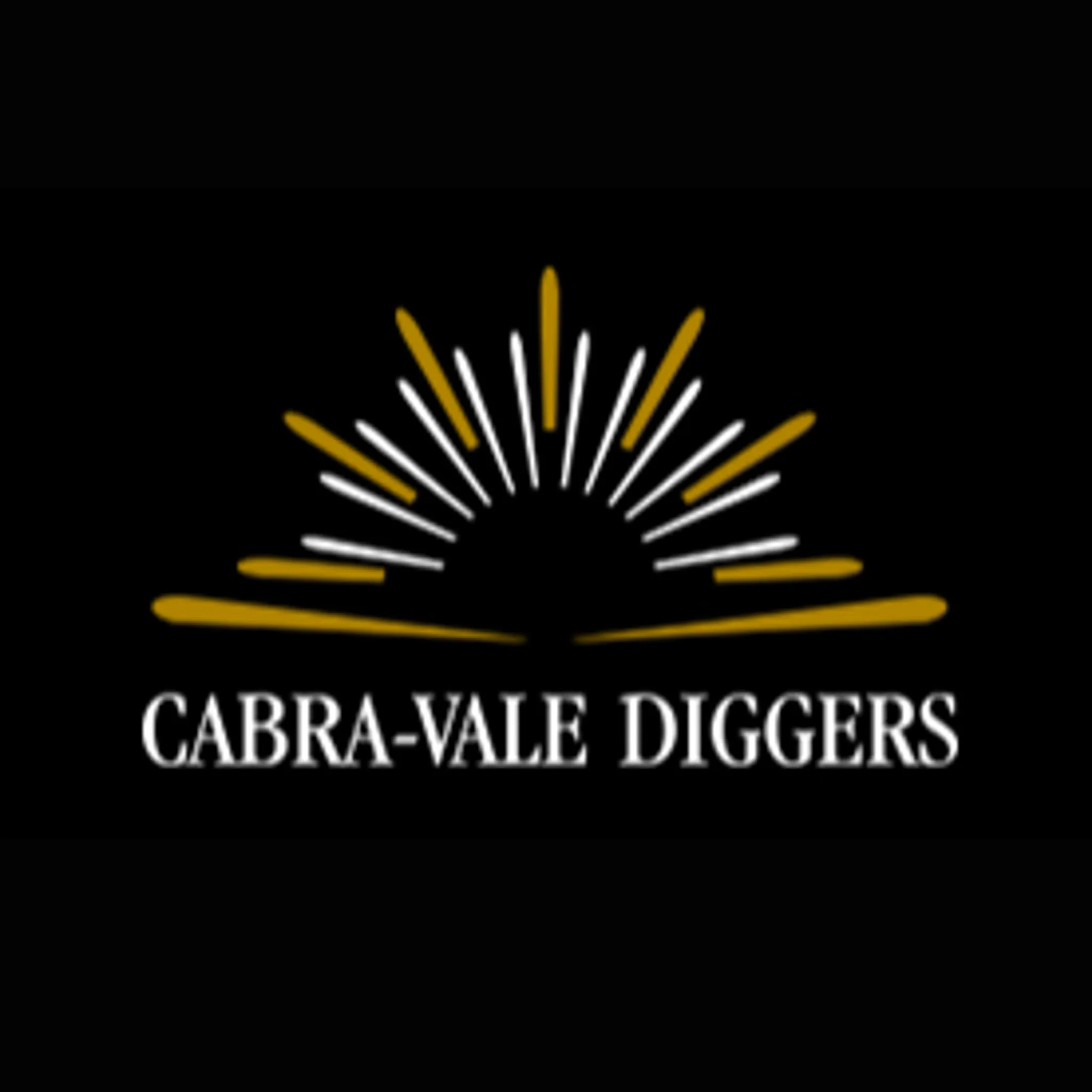 Cabra Vale Diggers Bowling Club