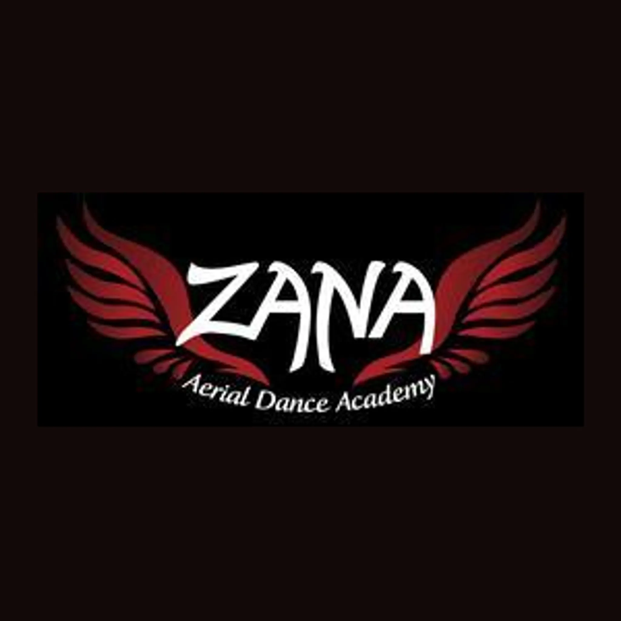 Zana Aerial Dance Academy