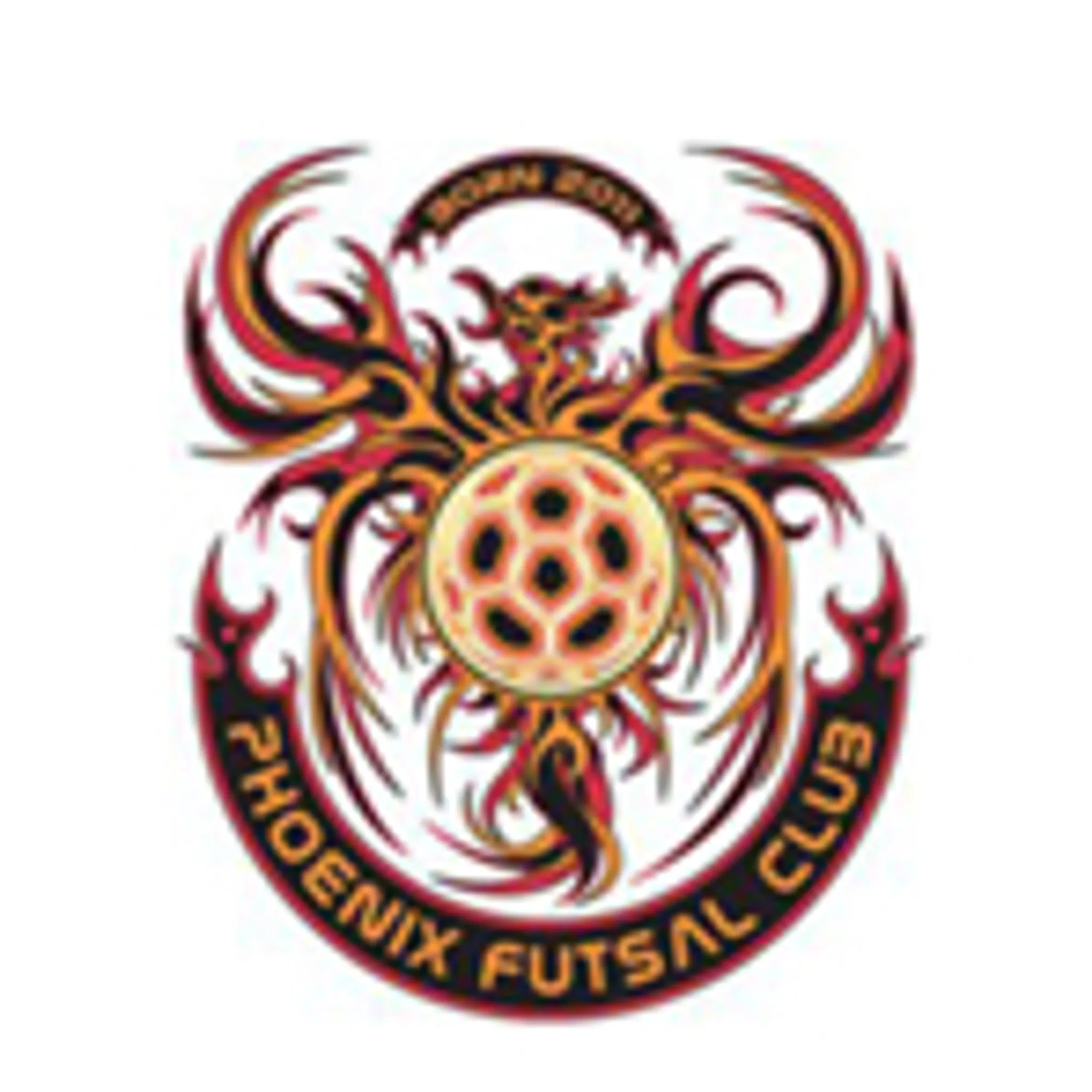 Phoenix Futsal Club