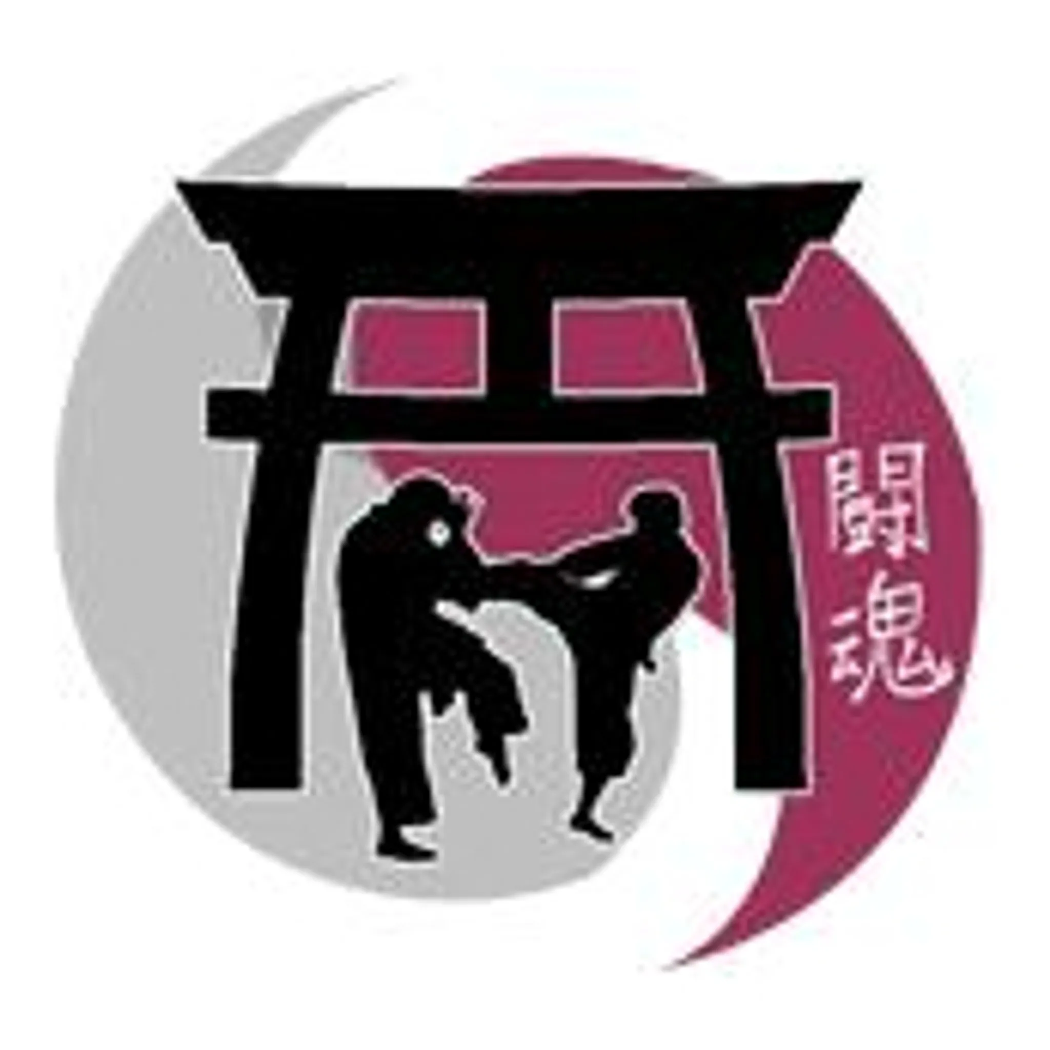 Combined Martial Arts Academy